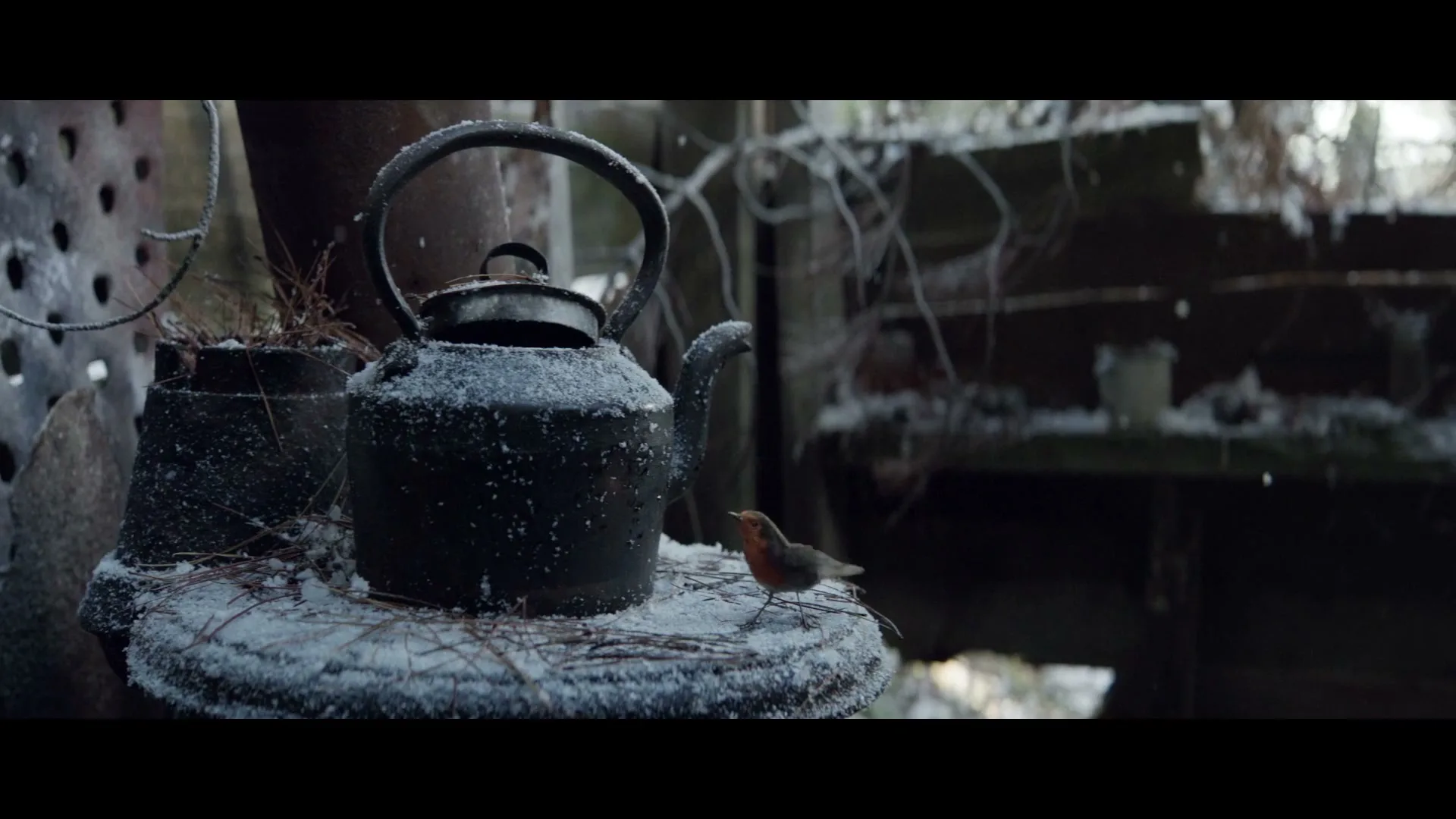 A small robin bird hops around a snow-dusted, old metal teapot on a wooden surface in a rustic, wintry outdoor setting.