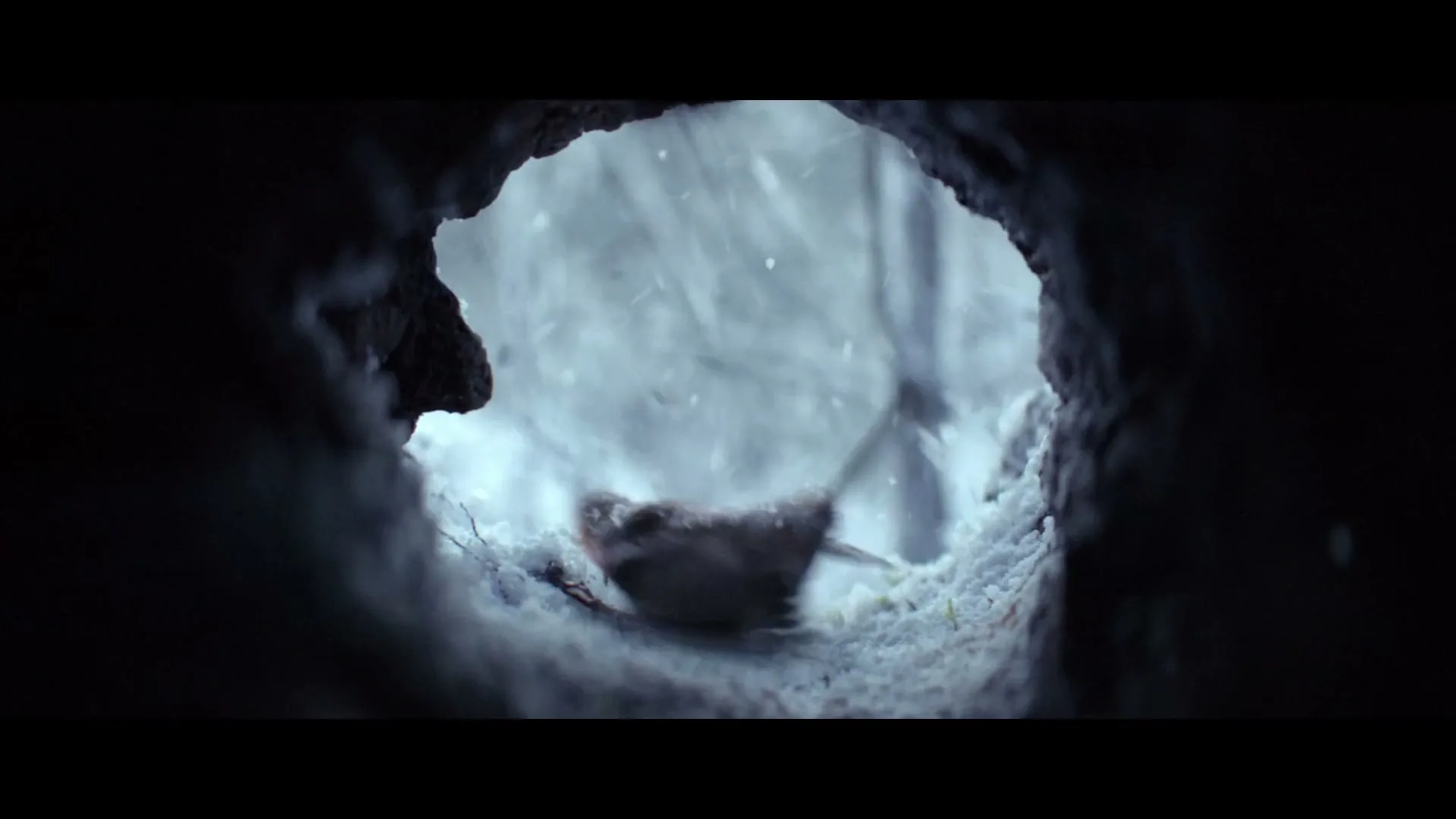 A small robin with a red breast hops around in the snow, framed by a dark, cave-like opening, then flies away.