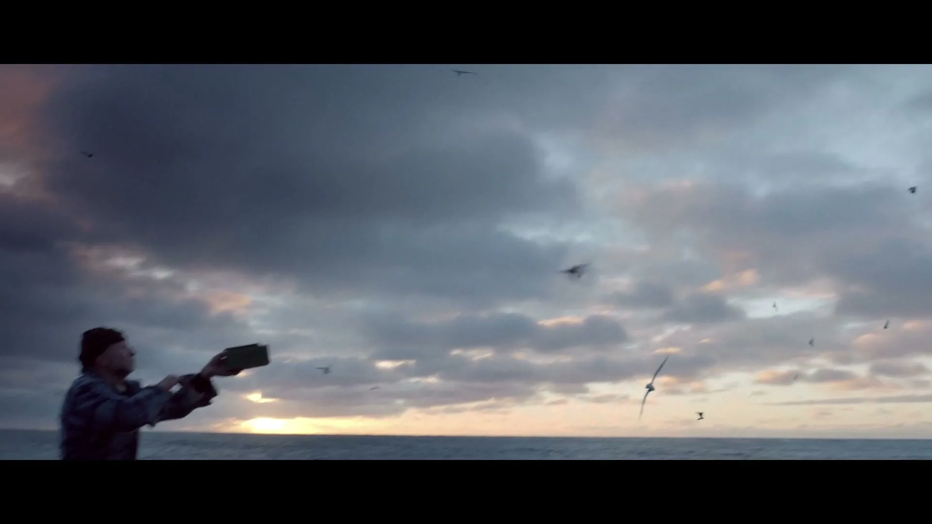 A fisherman in a plaid shirt and beanie stands on a boat, throwing food to seagulls at sunset on a cloudy day.