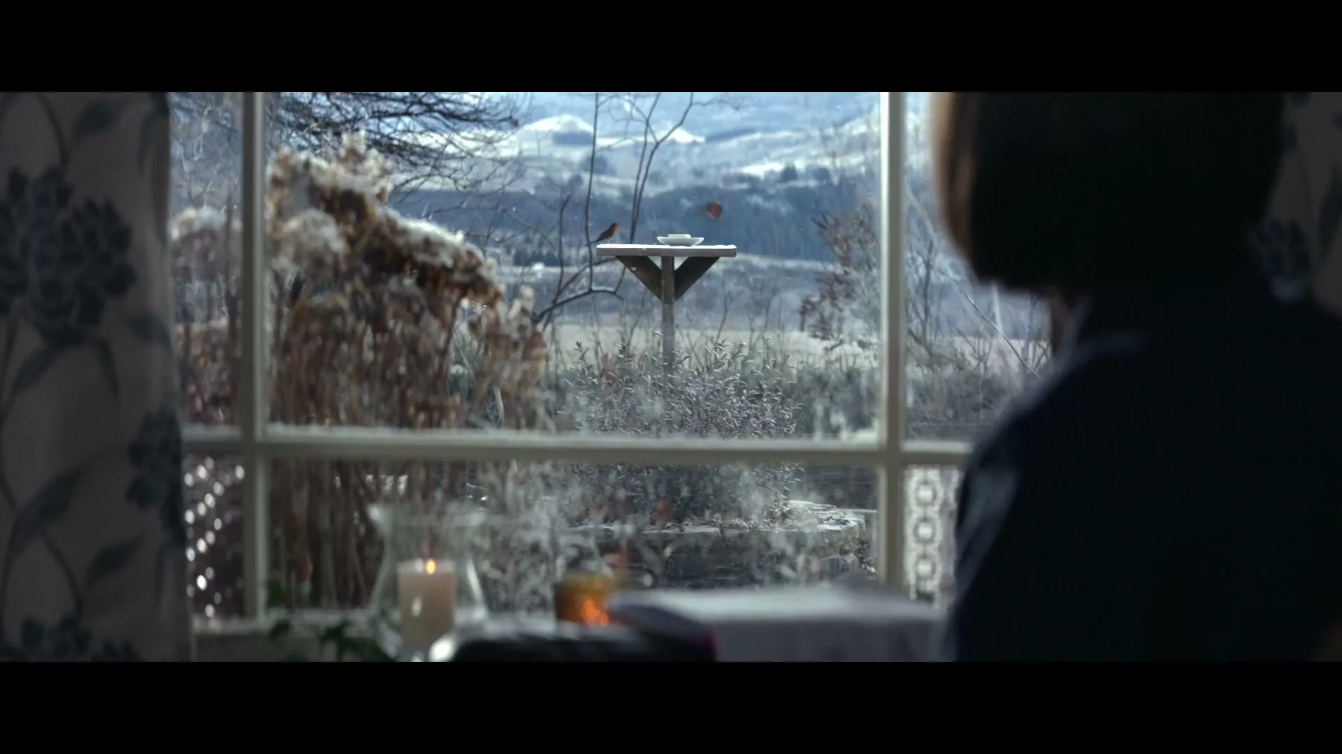 A person with short brown hair sits at a table, writing in a book, looking out a window at a snowy landscape with a bird feeder.