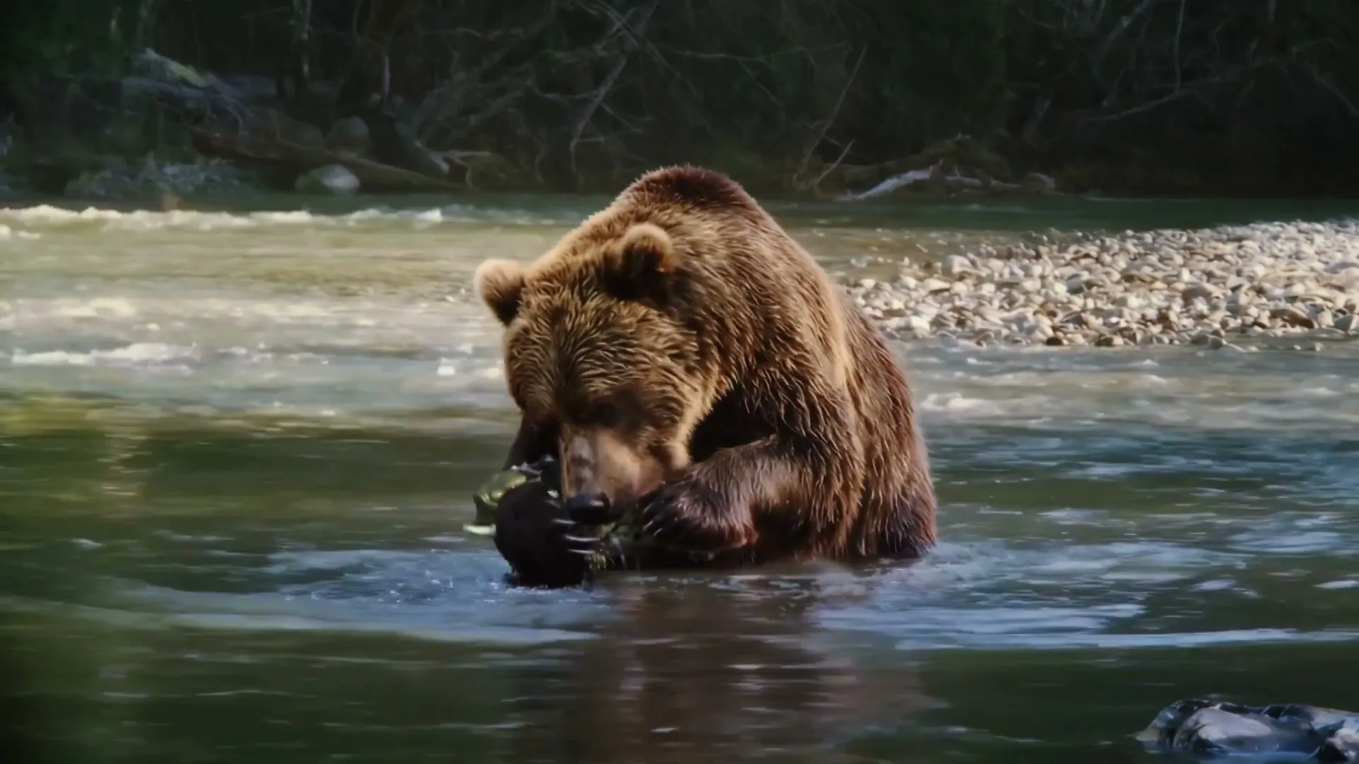 JEEP “Stellantis - Billy Bass Goes To The River (Big Game Ad) - Super Bowl” (2026)