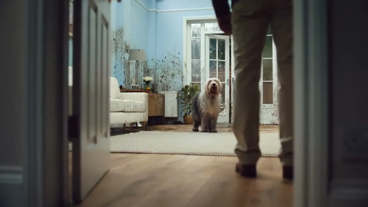 Dulux Ireland "Dulux - Easycare" (2023) commercial still