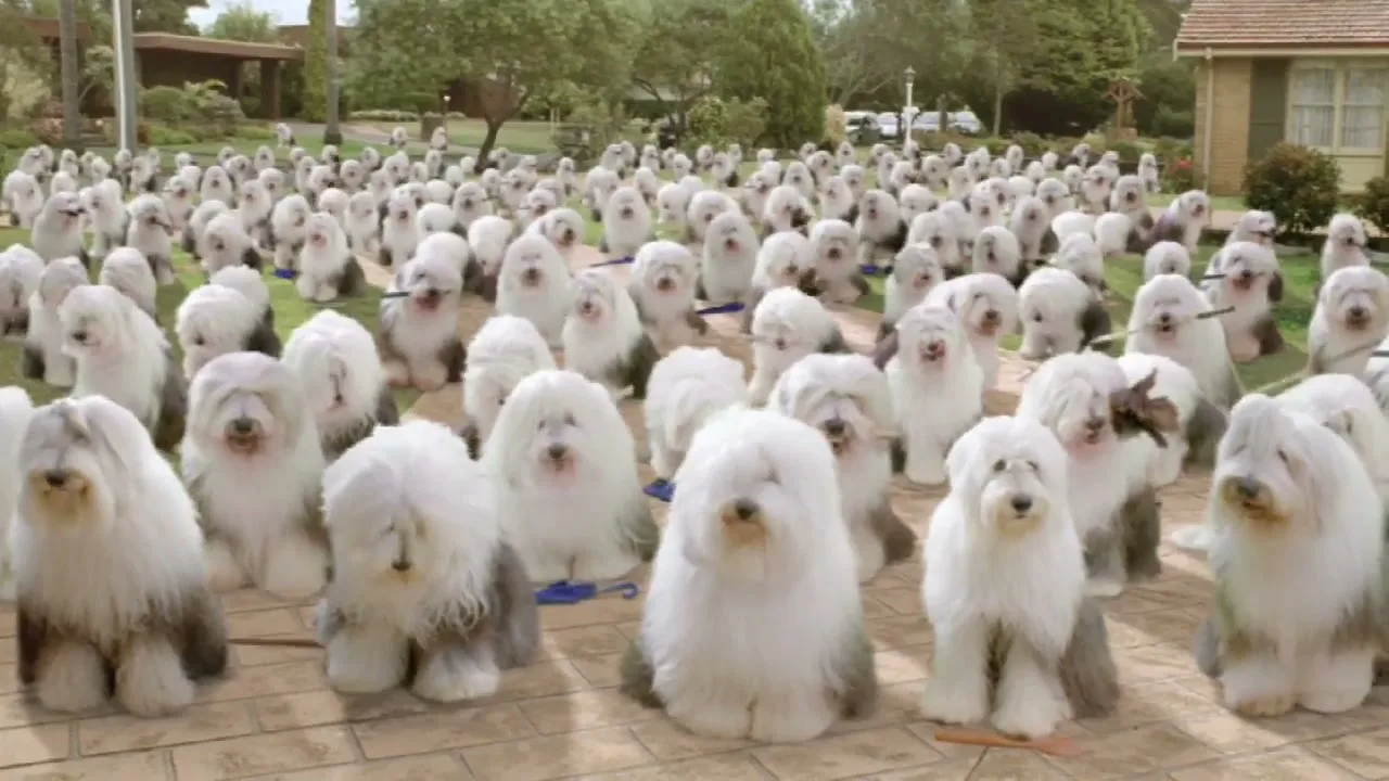 Dulux "Stick" (2024) commercial still