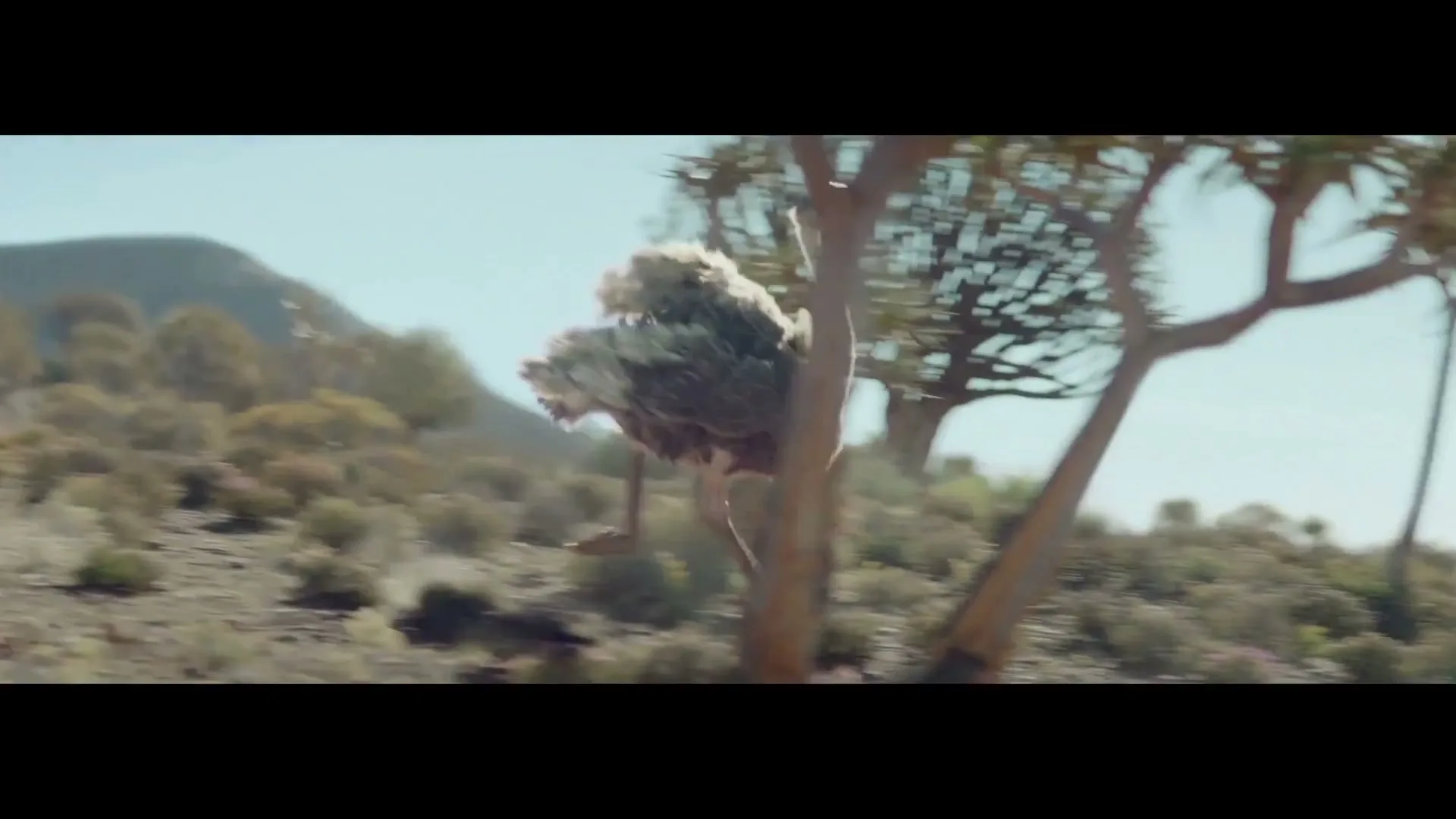 Samsung "Do What You Can't - Ostrich' VFX Breakdown" (2022) commercial still