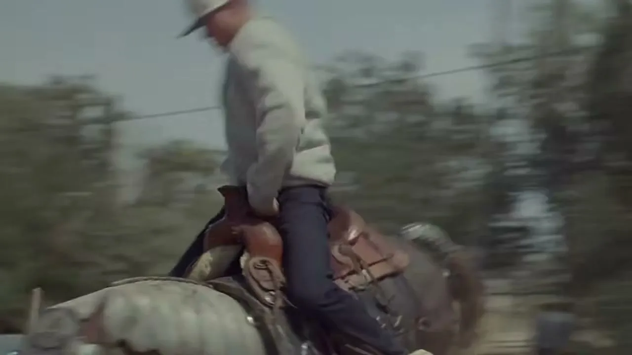A young male cowboy in a white hoodie and jeans rides a mechanical bull outdoors during the day, trying to stay on as it bucks.