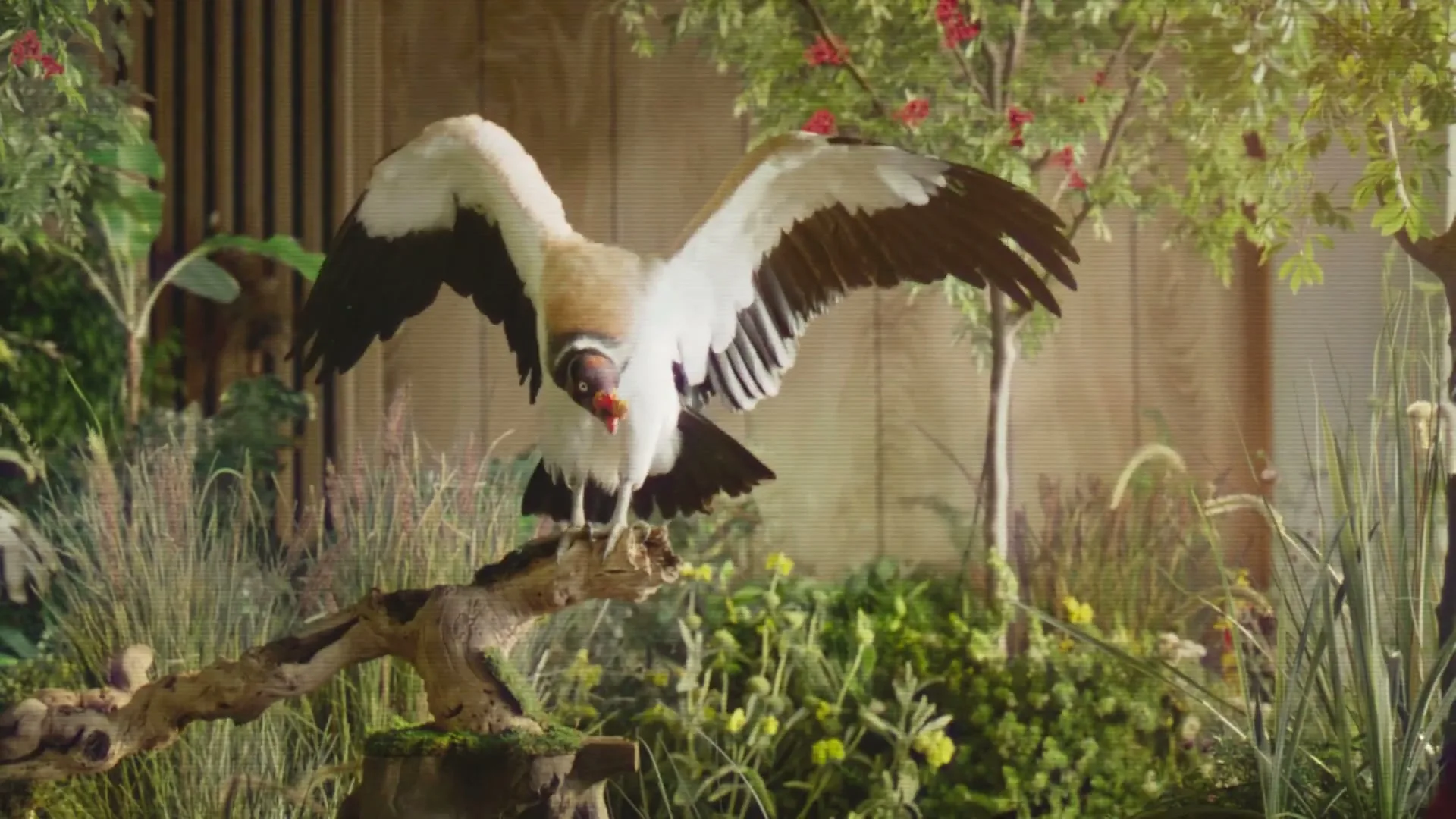 Smucker's Natural “Father Nature Two Birds” (2023)