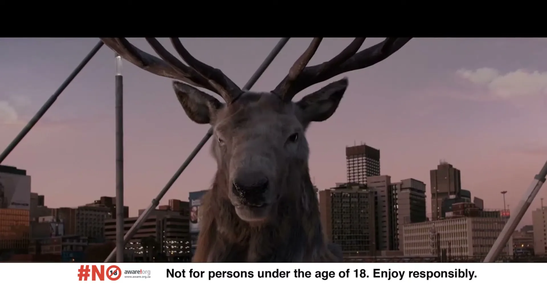 A large, majestic stag with impressive antlers stands prominently in the foreground, looking directly at the camera, with a city skyline visible in the background at dusk.