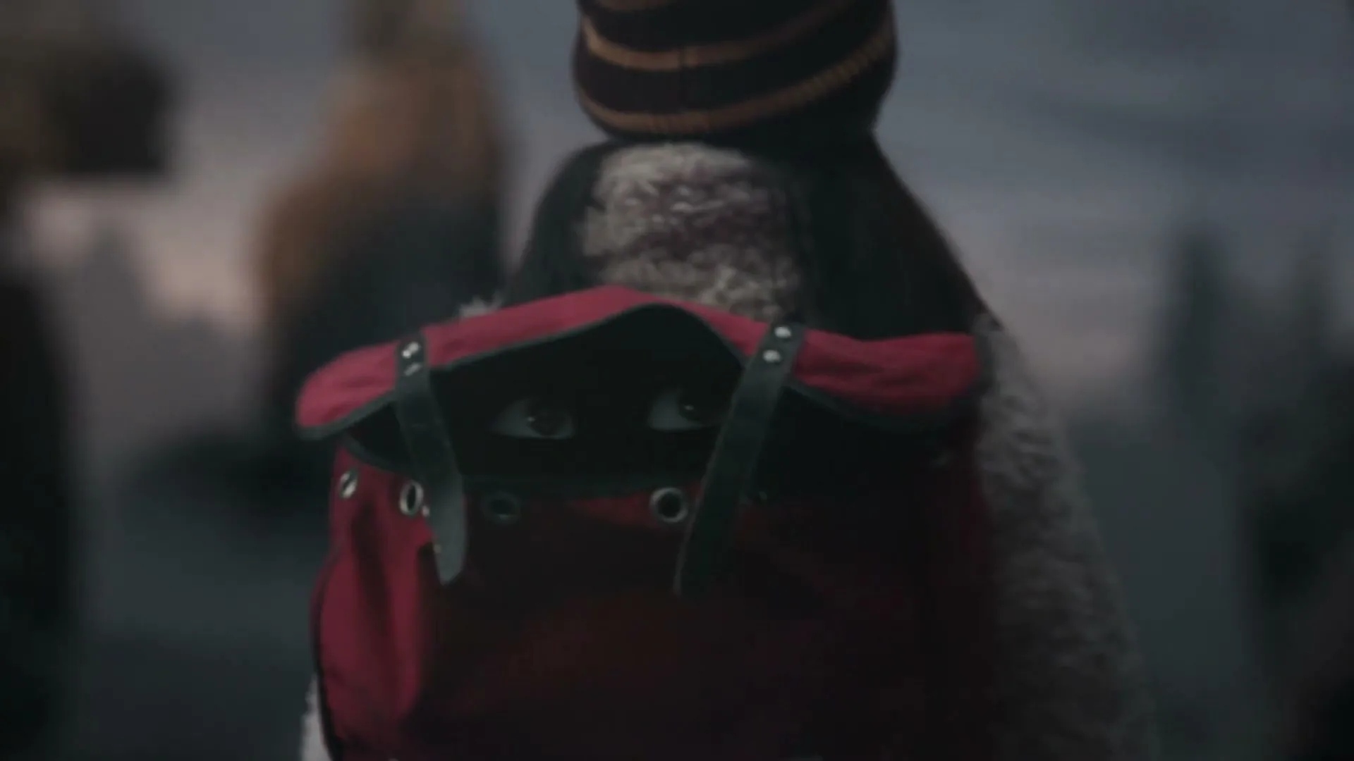 A young girl with a striped beanie and a fluffy coat walks away from the camera, carrying a red backpack with two eyes peeking out.