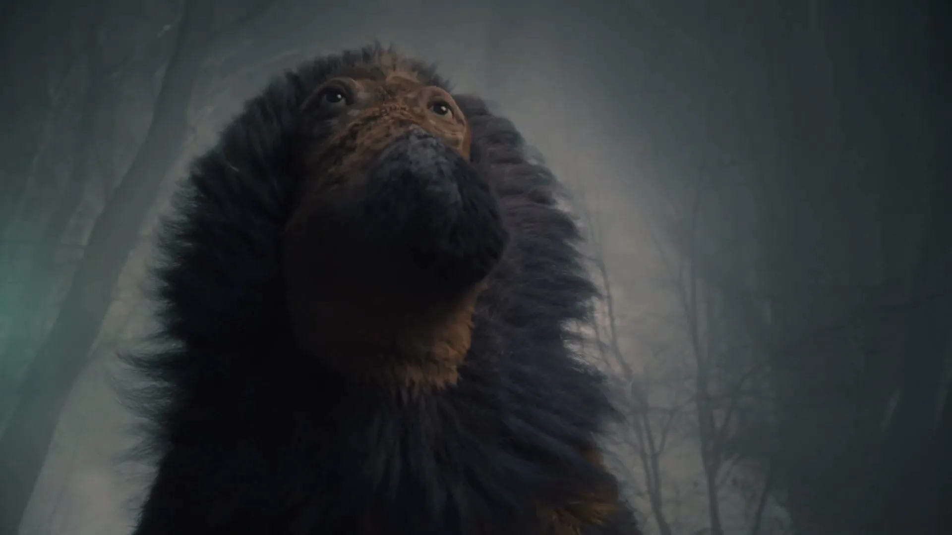 A furry, brown and black creature with a long snout looks up in a misty, dark forest, its head turning slightly.