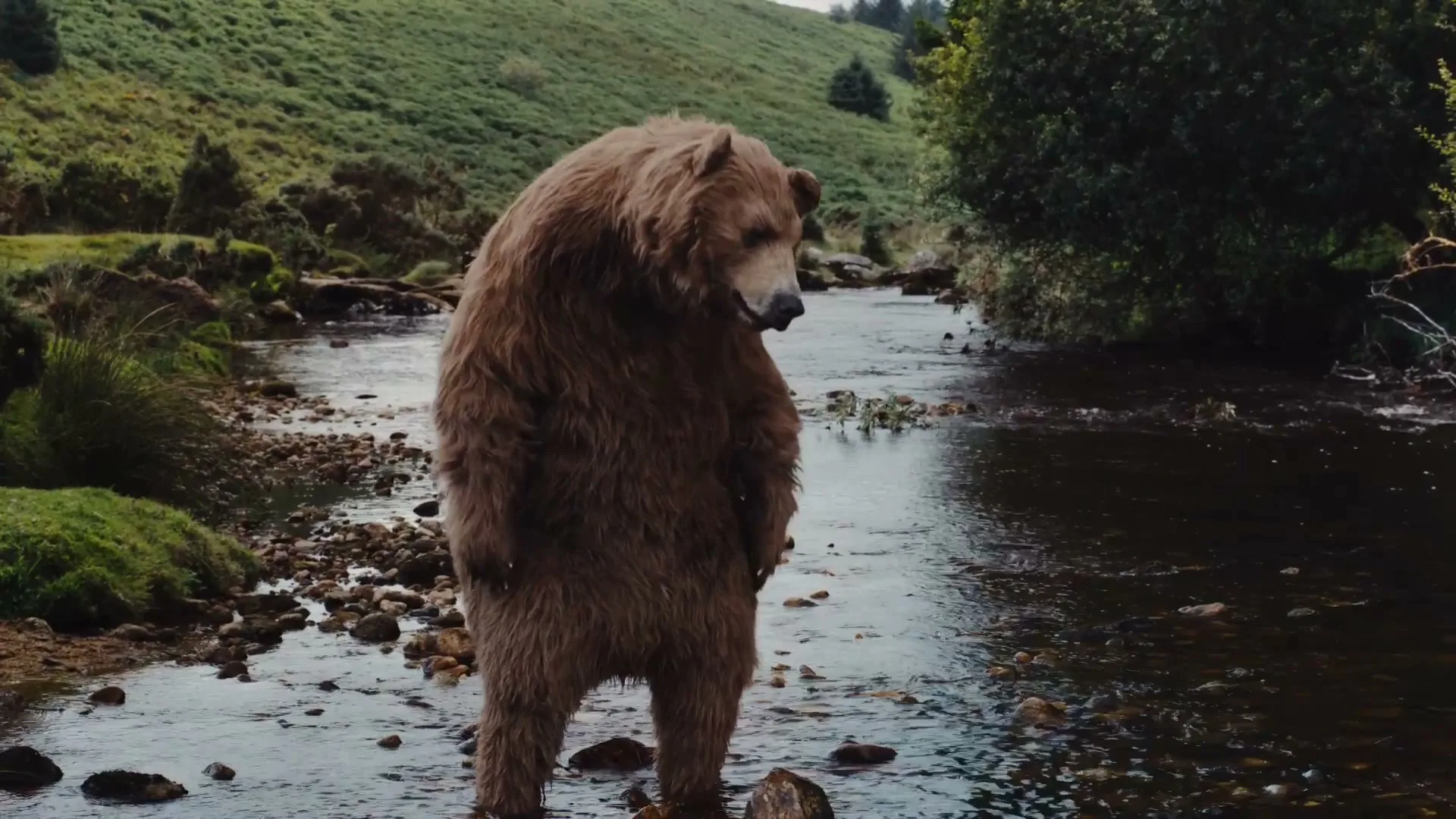 Nature Valley “We Make Nature Delicious - Bear” (2025)