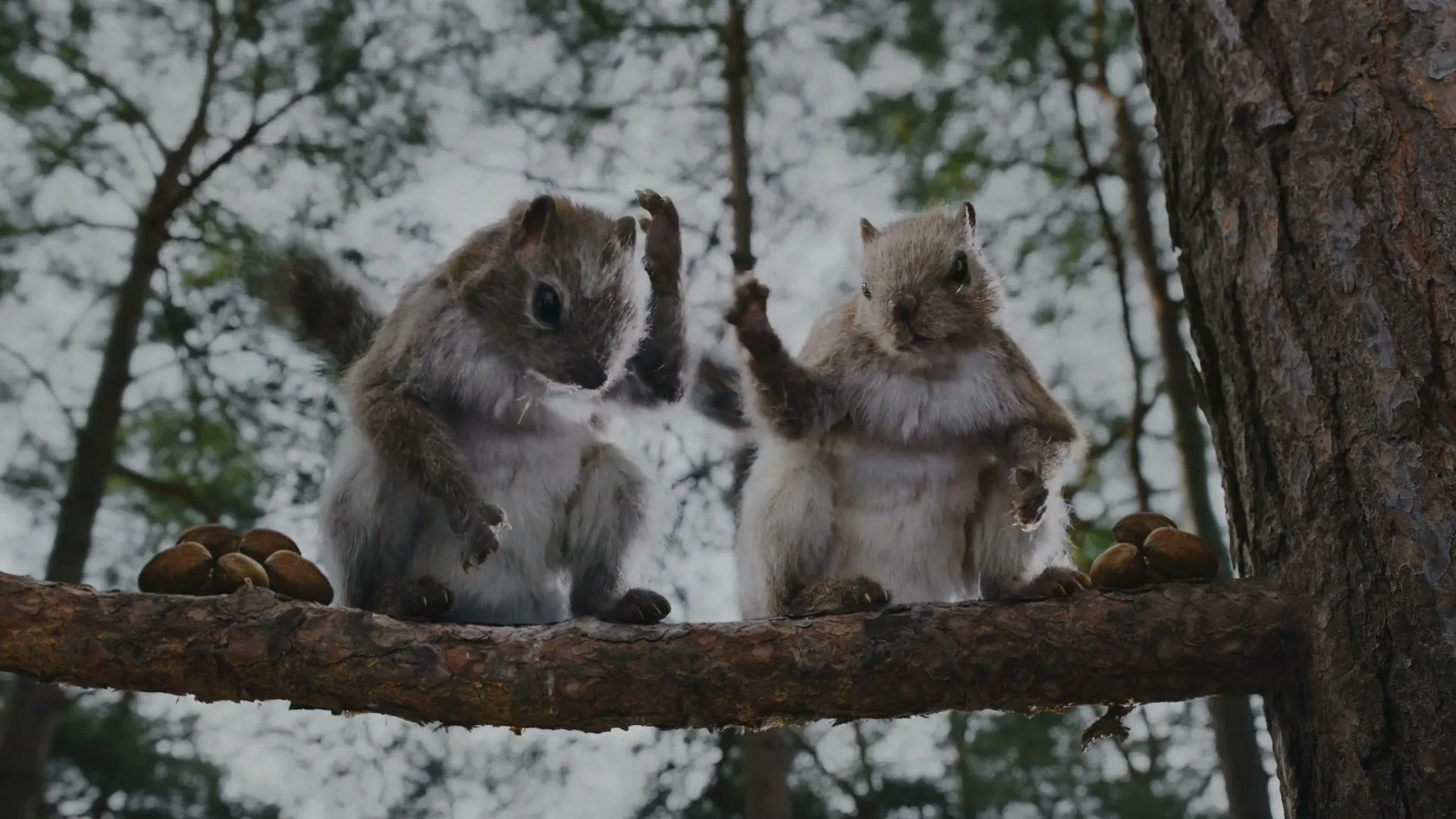 Nature Valley "We Make Nature Delicious - Nuts" (2025) commercial still