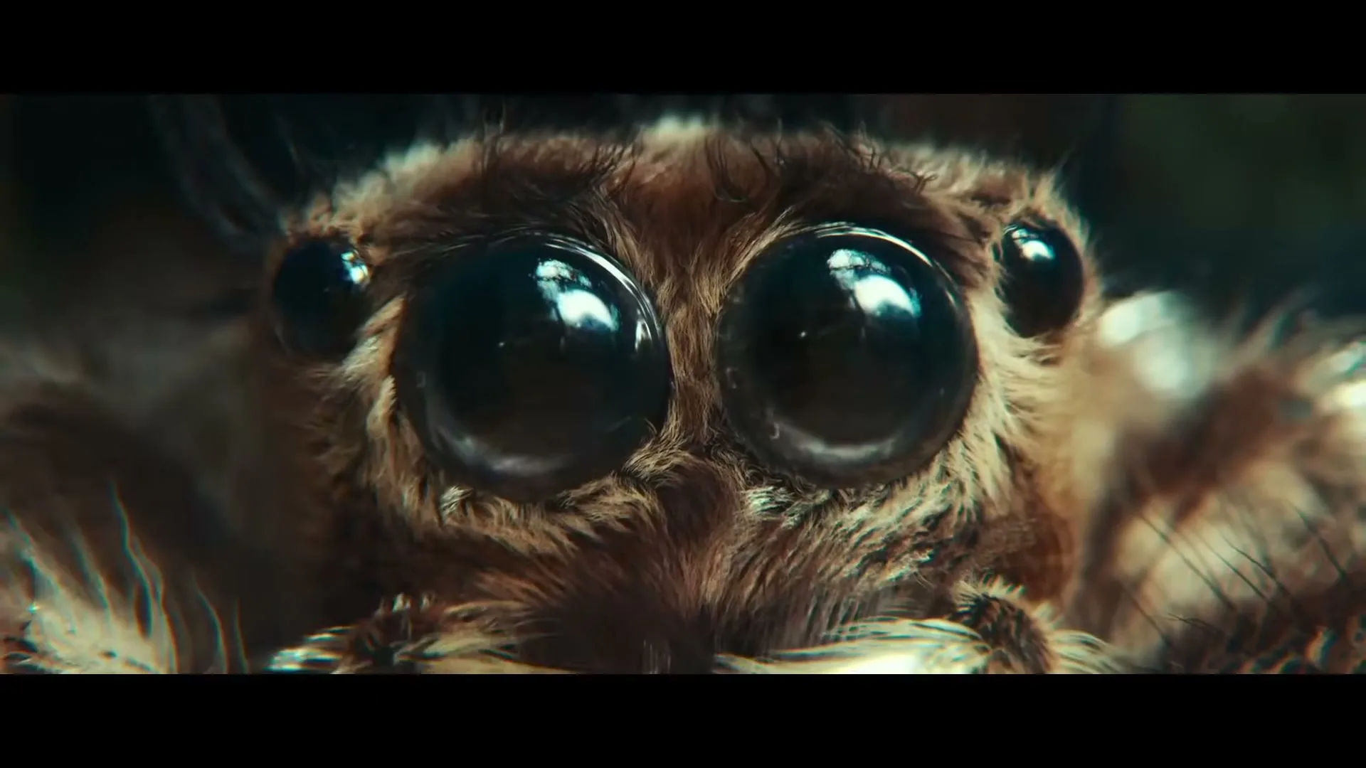 Samsung "The Spider and the Window" (2022) commercial still