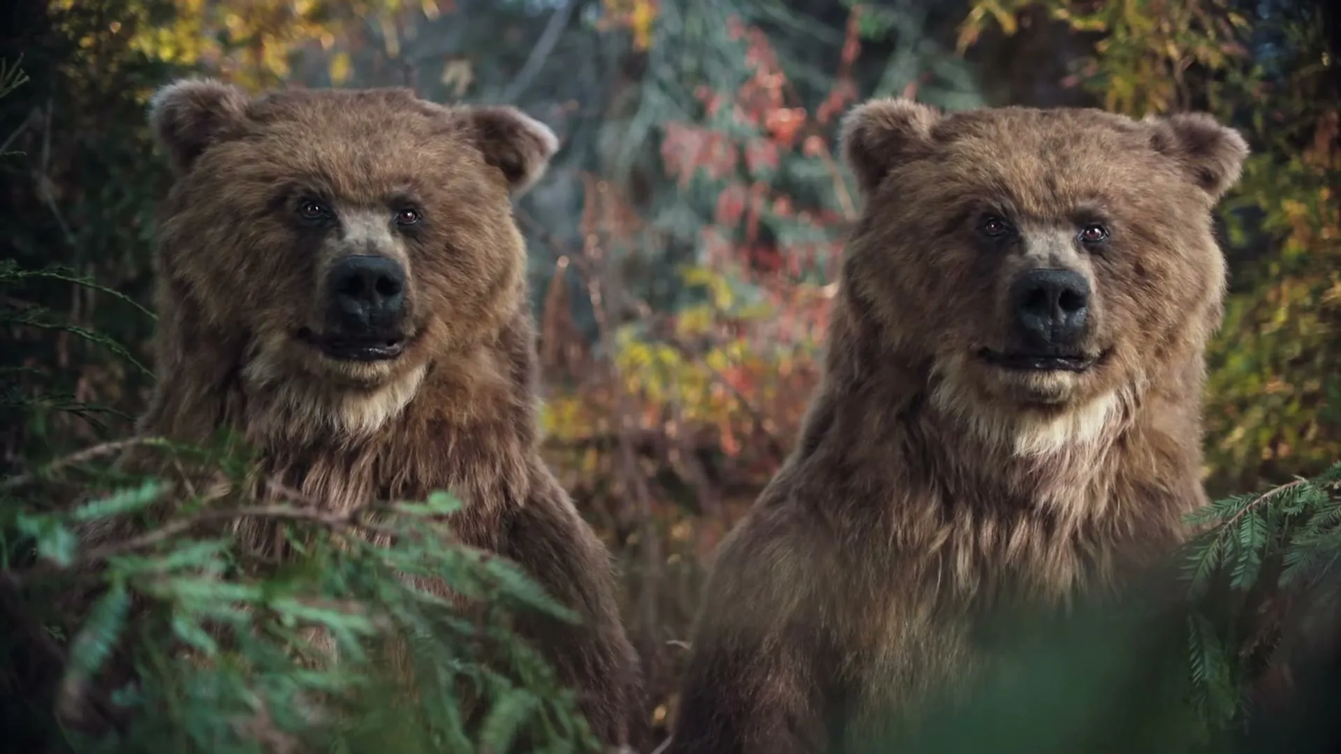 Two photorealistic CGI bears with brown fur and dark eyes are seen from the chest up, peeking through green foliage in a forest, with one bear turning its head to look at the other.
