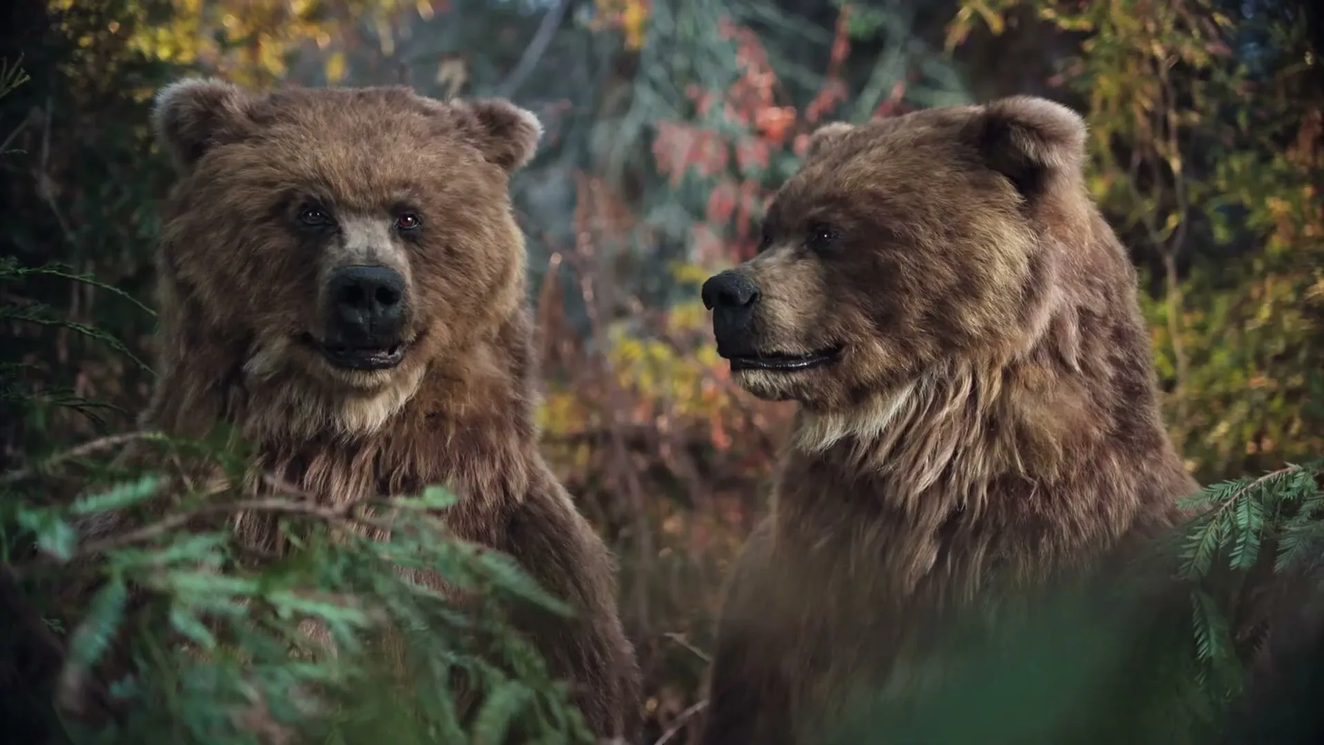 Two brown bears, one looking at the camera and the other looking right, are partially hidden by green foliage in a forest.