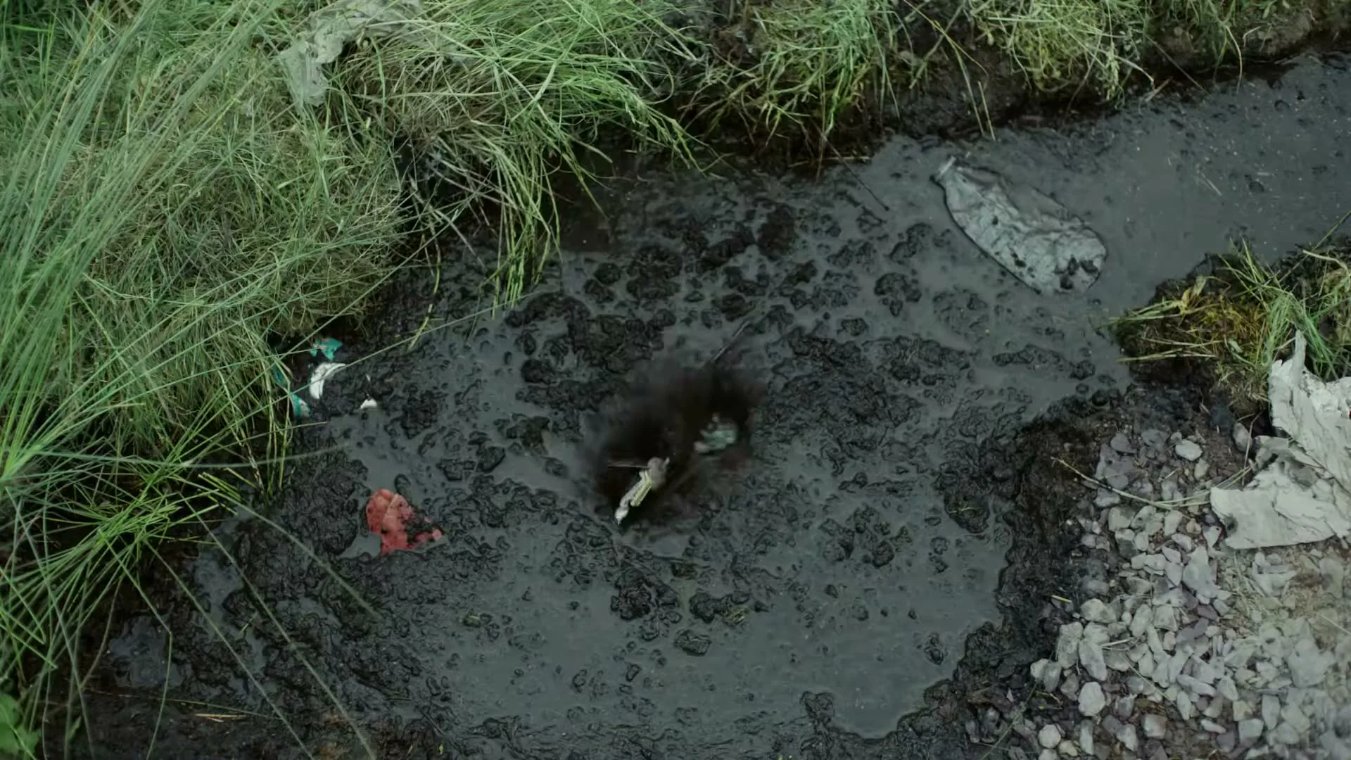A small, dark puddle of muddy water with some trash and green grass around it, as a small object splashes into it.