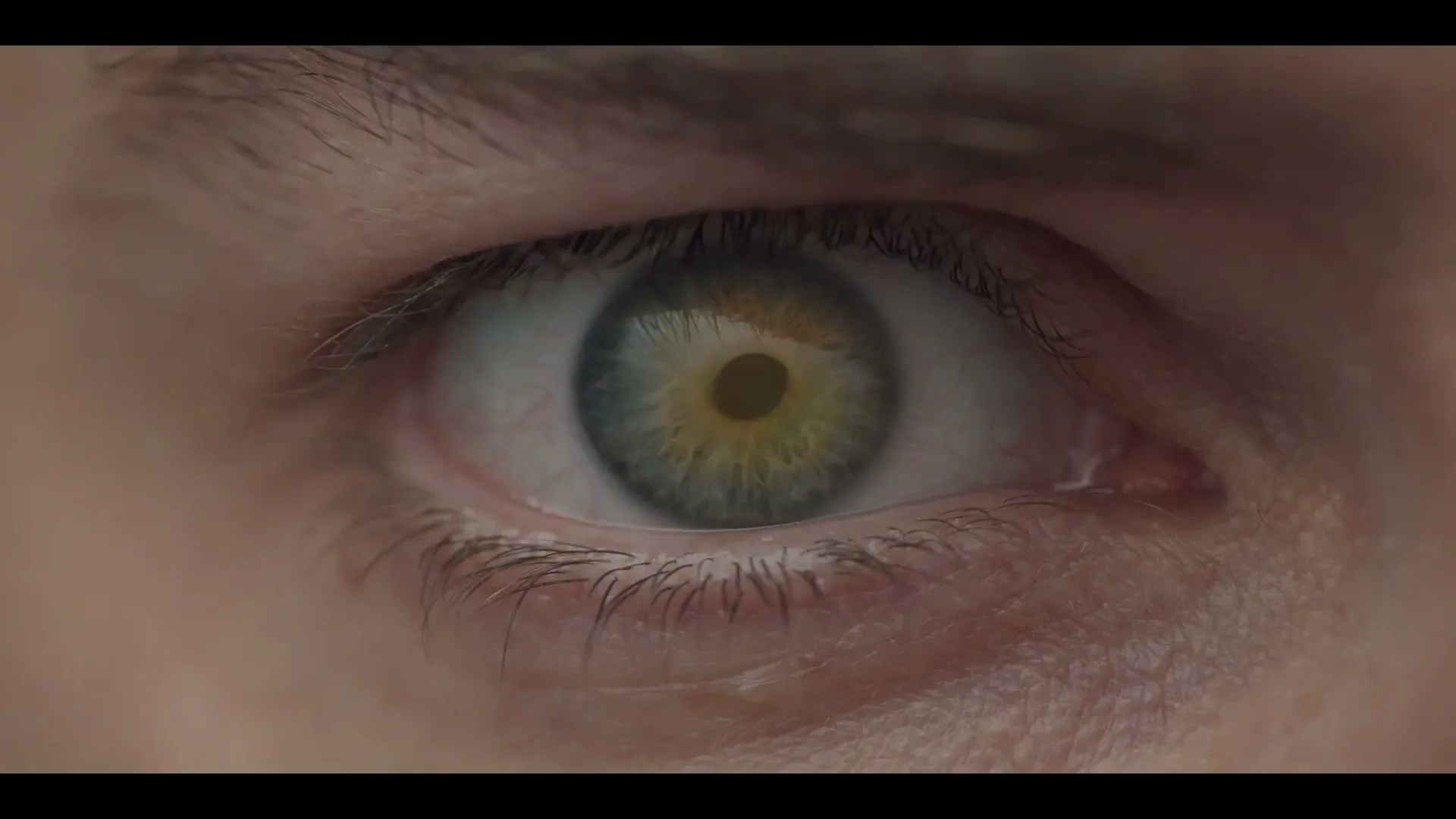 Canal+ "Comet" (2022) commercial still