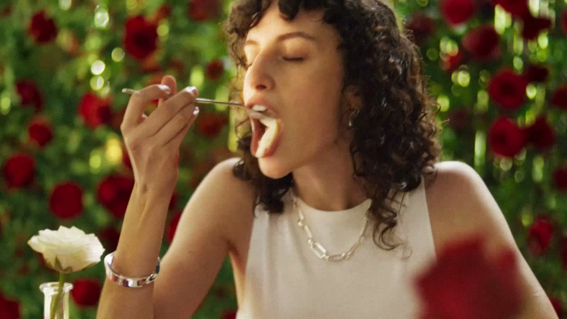 Bertolli “Take the Alfredo - Rose” (2026)