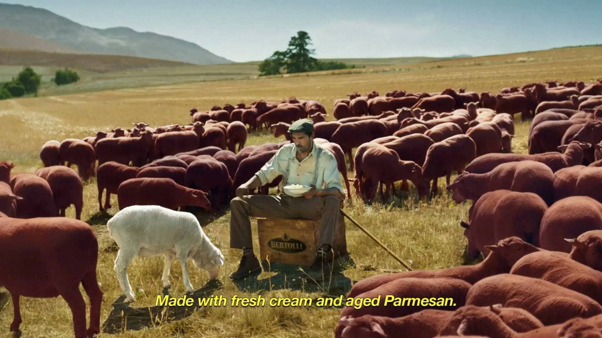 Bertolli “Take the Alfredo” (2026)