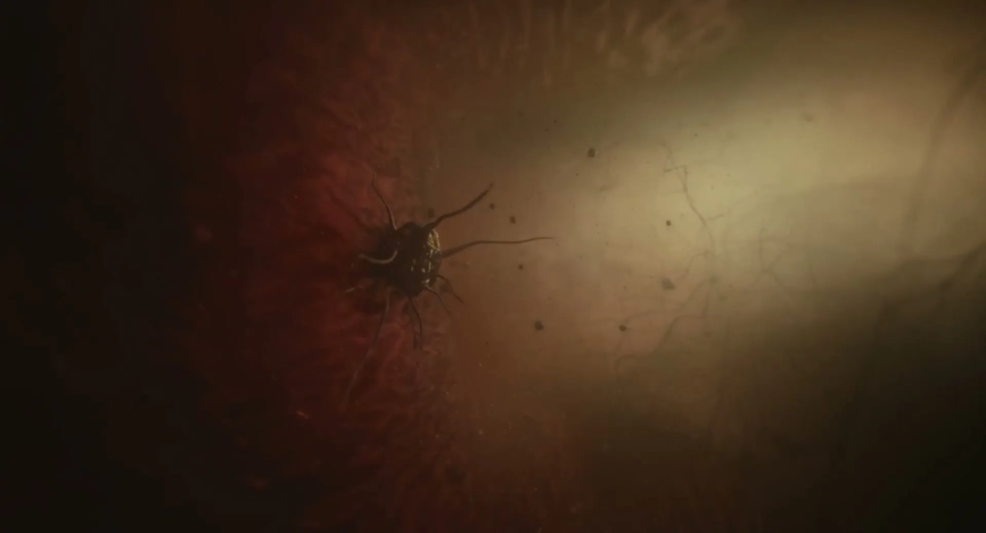 Cancer NSW "Skin Institute - Arrows" (2023) commercial still