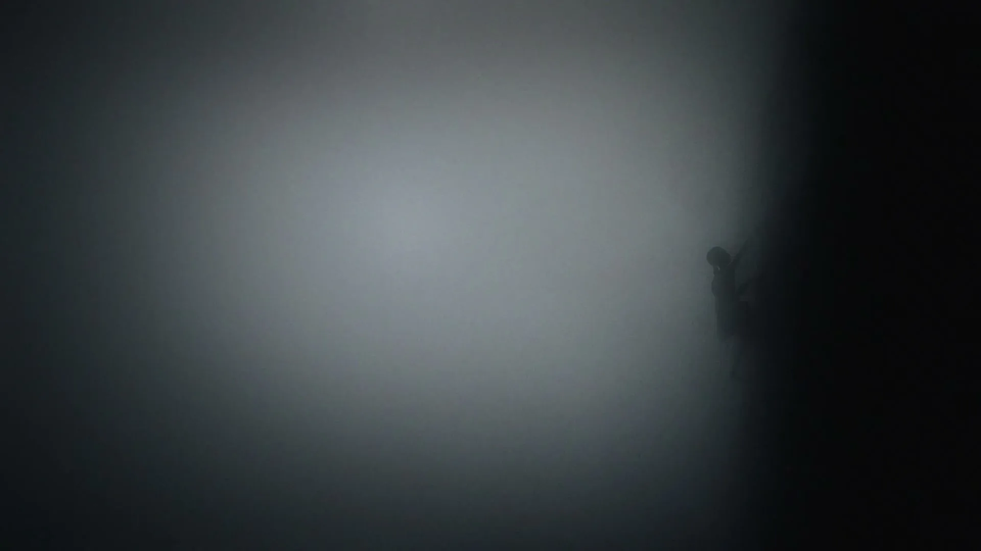 A dark, blurry, abstract shot with a faint light source on the left and a dark shape on the right.