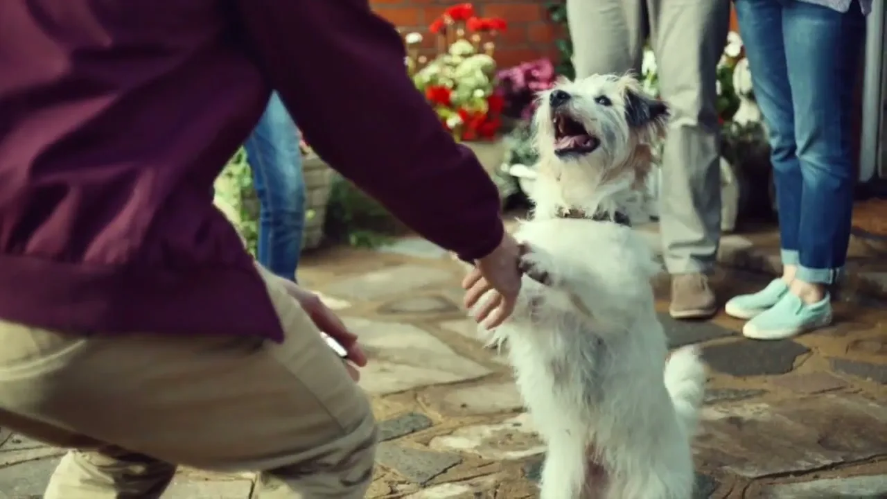 Virgin Trains “Be Bound For Glory”, directed by Traktor