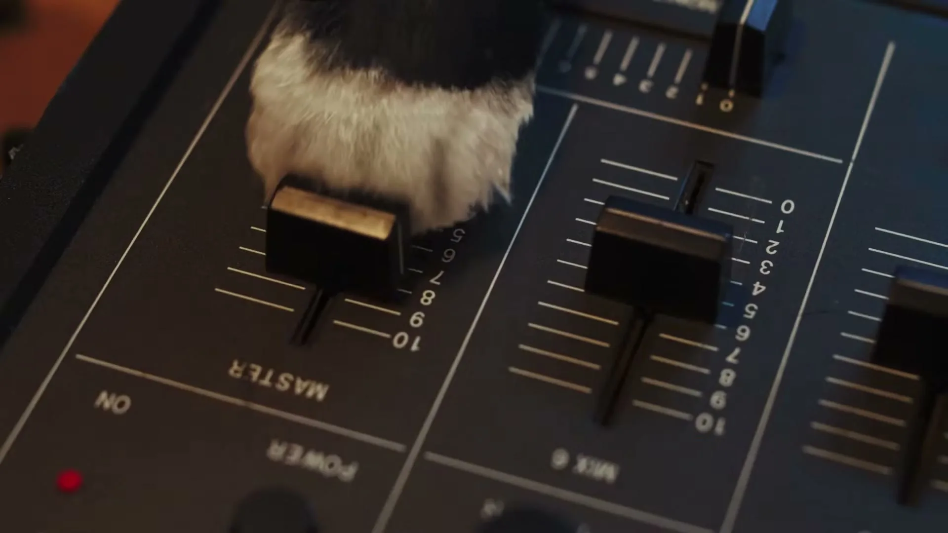 A cat's paw, black and white, is seen pushing a fader on a DJ mixer, in a close-up shot.