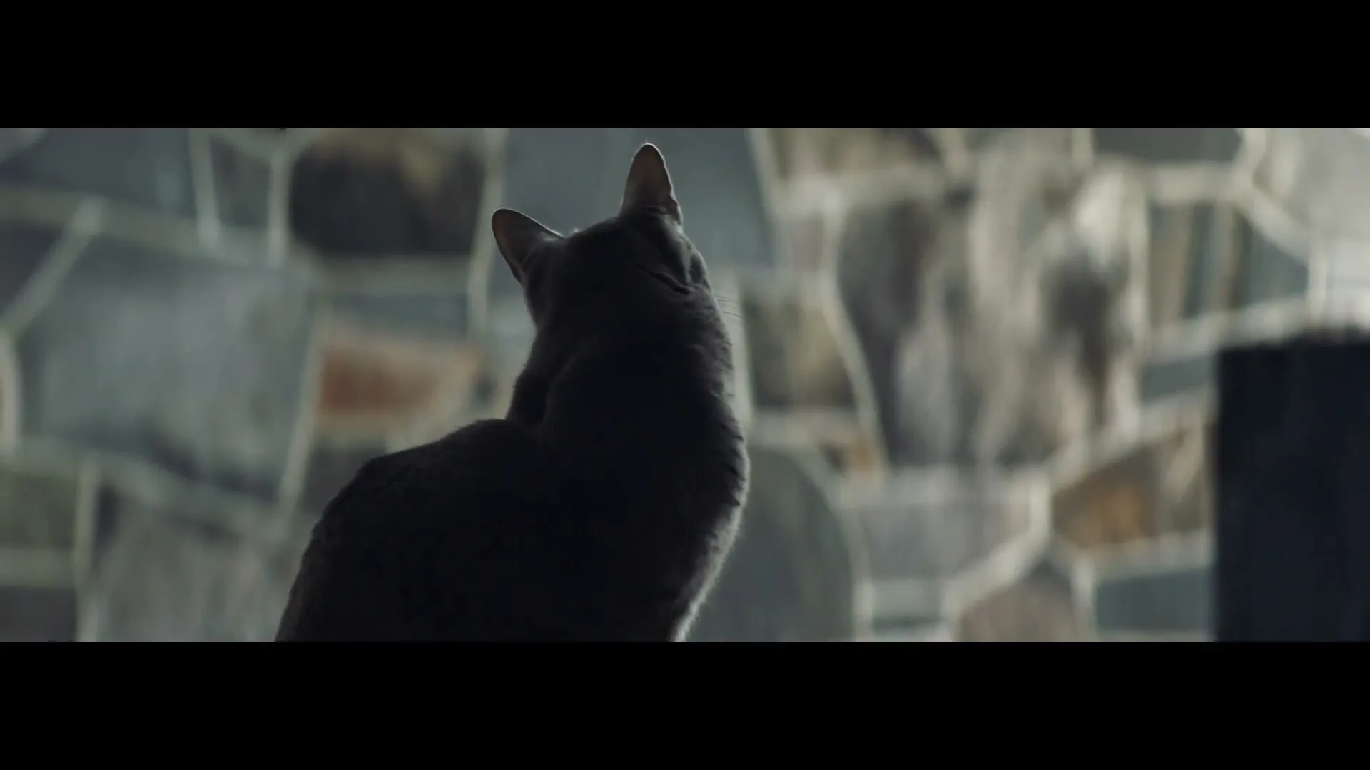 Dine “Face Time”, directed by Adam Stevens