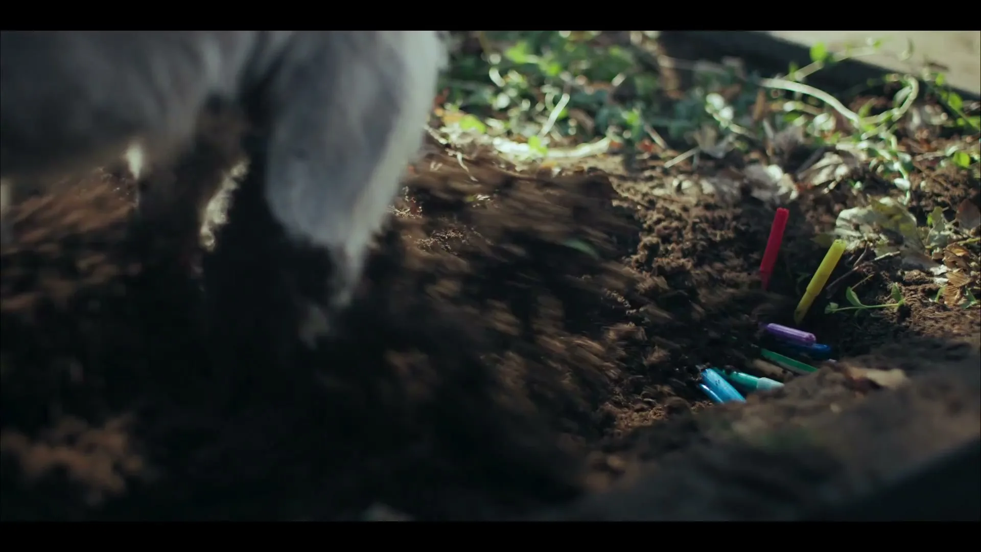 Bol “bol - Puppy”, directed by Bart Timmer