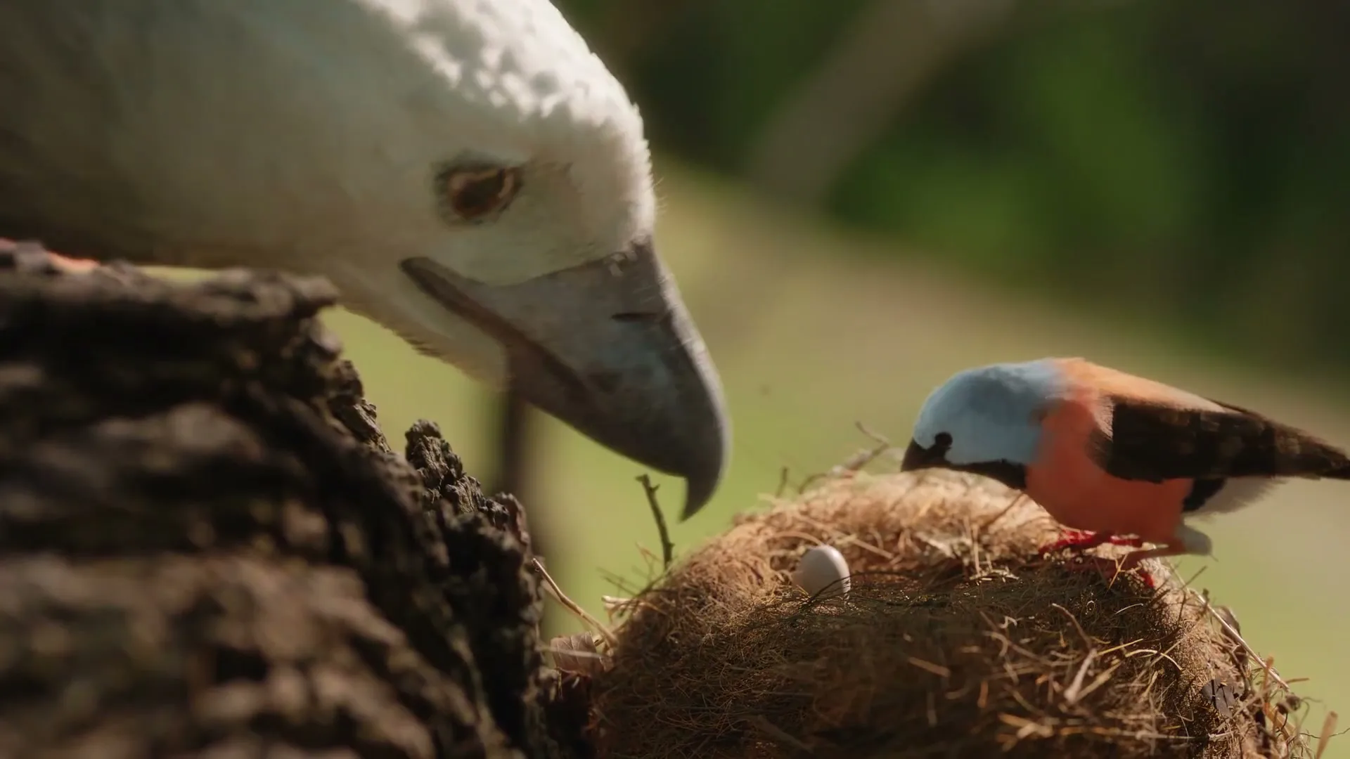 Allianz Australia "Allianz - Care You Can Count On" (2025) commercial still