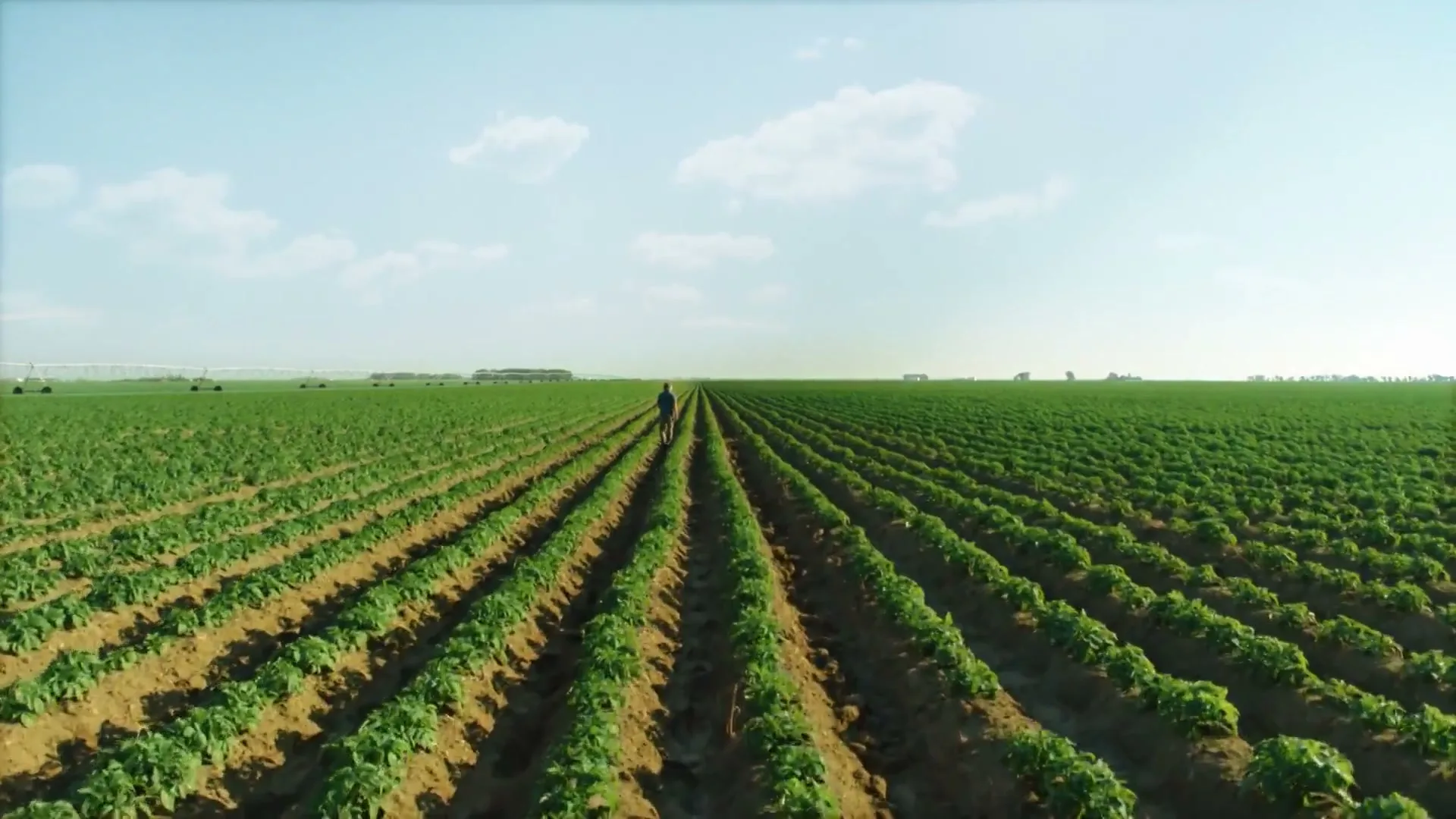 Lay’s “Betcha the Farm” (2025), frame 2