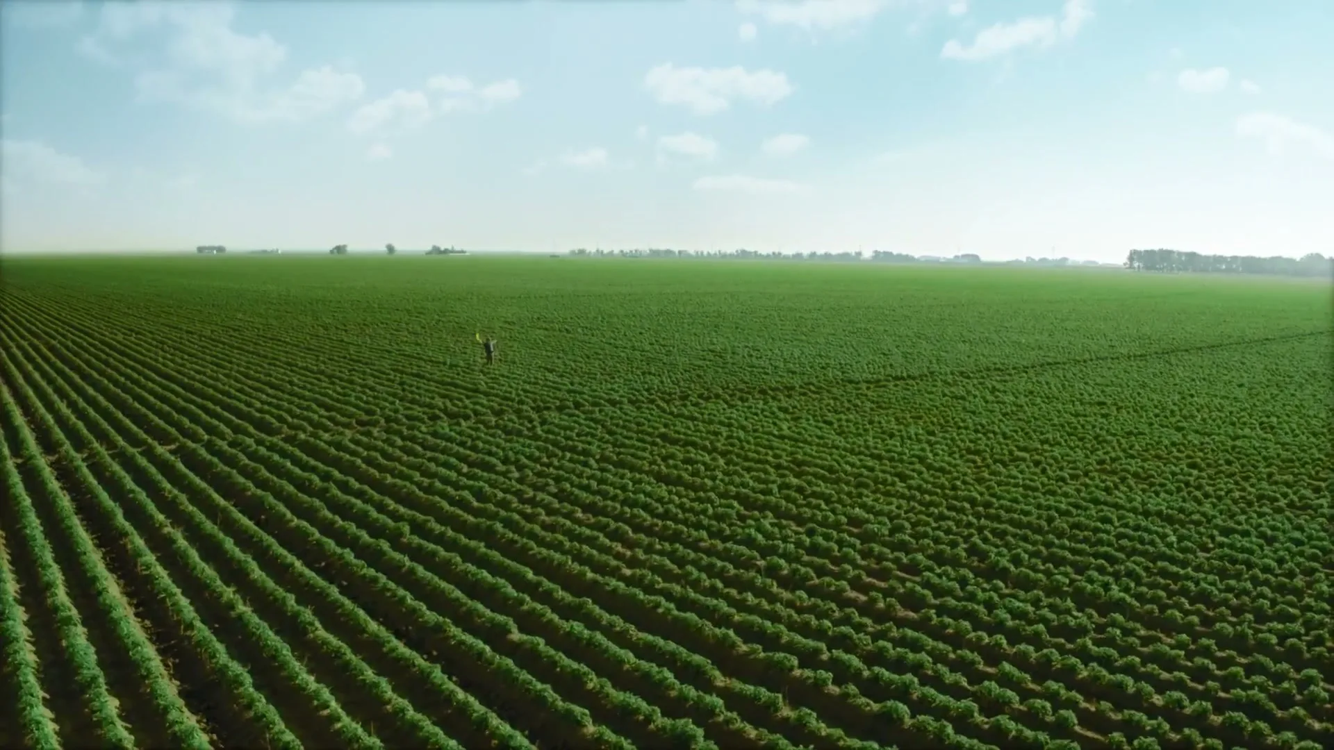 Lay’s “Betcha the Farm” (2025), frame 3