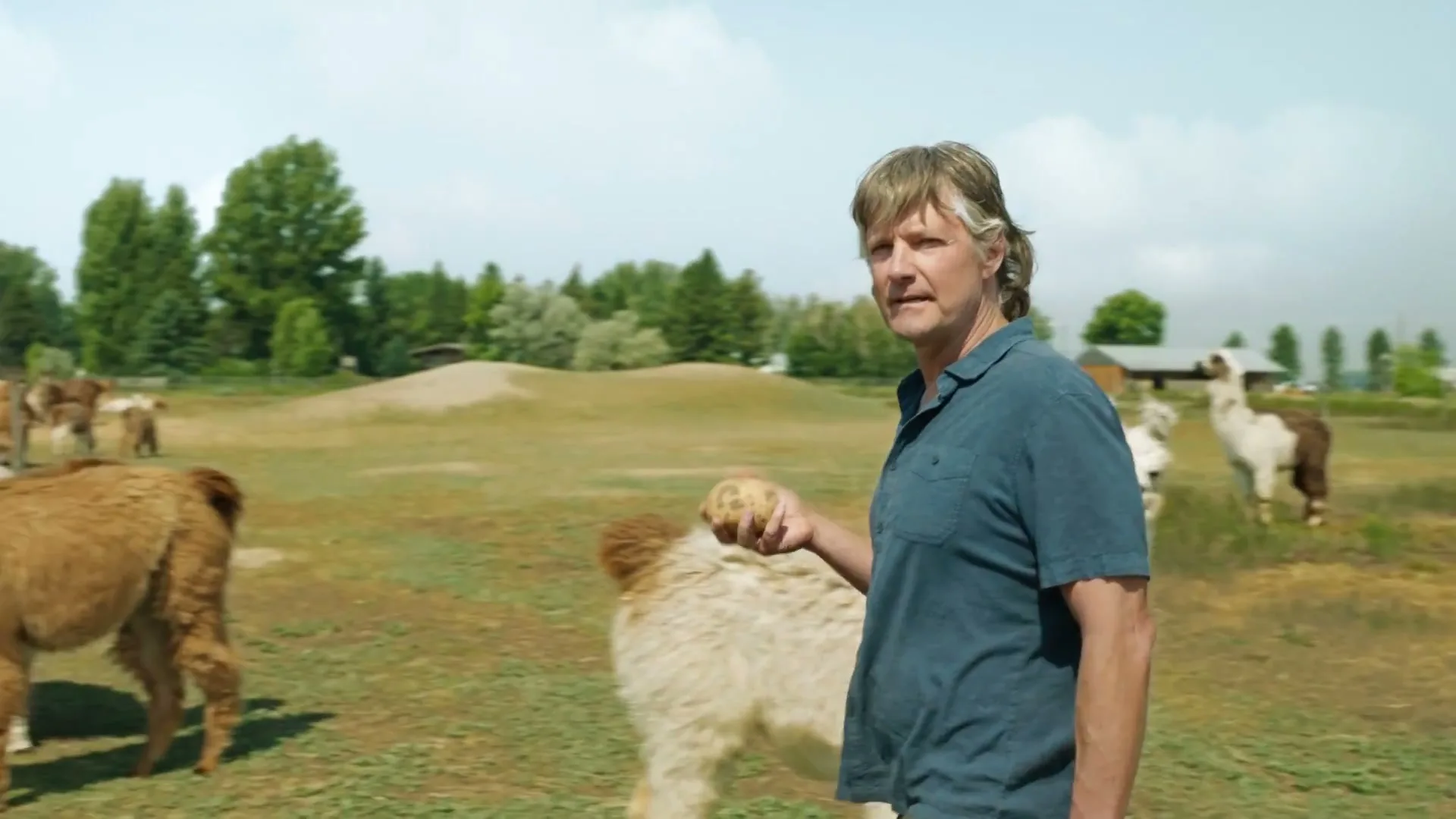 Lay’s “Betcha the Farm” (2025), frame 5