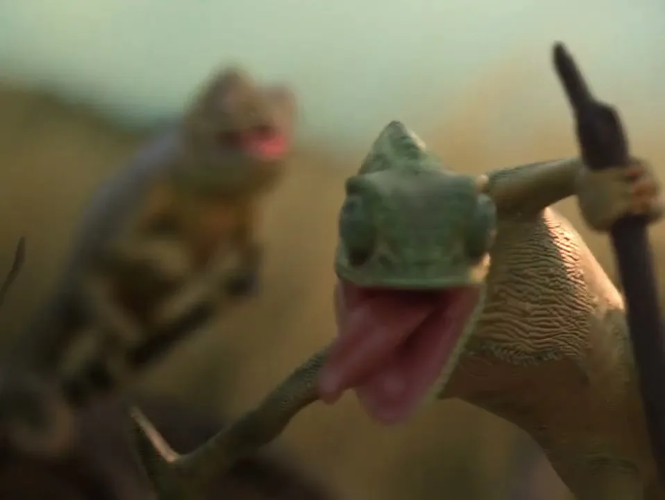 Savanna "Mozzies (Director's Cut)" (2025) commercial still