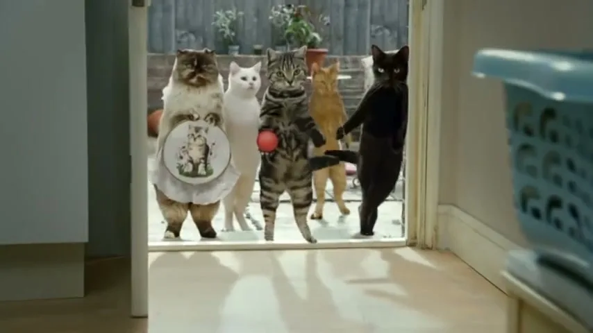 Arla Foods "Cats with Thumbs" (2023) commercial still