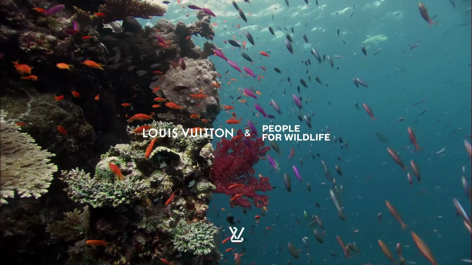 Louis Vuitton "People for WildLife" (2023) commercial still