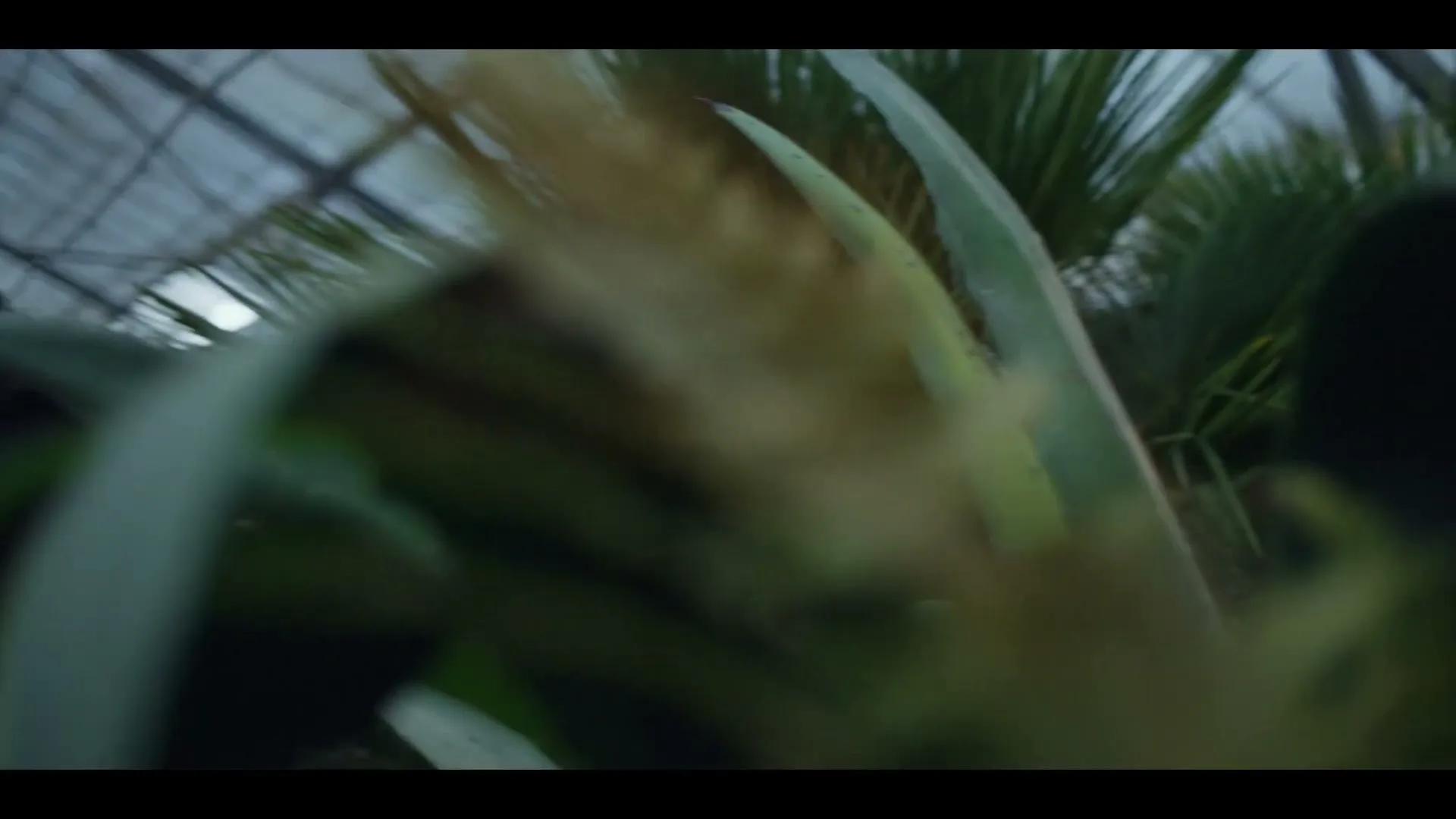 A red beetle crawls on a green leaf with water droplets, then the camera pulls back to reveal a woman and a man in a plant nursery.