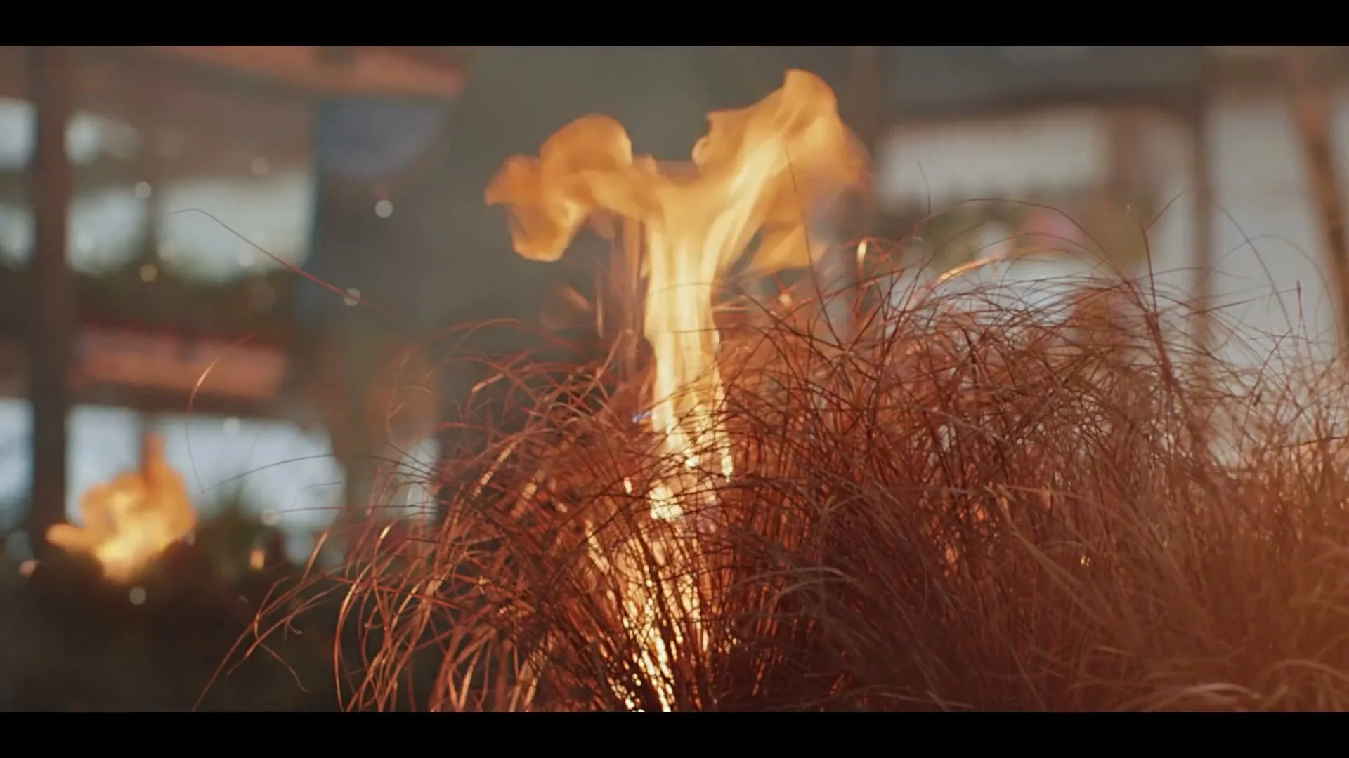 Close-up of dry grass catching fire, with flames rising and sparks flying, in an outdoor setting during the day.