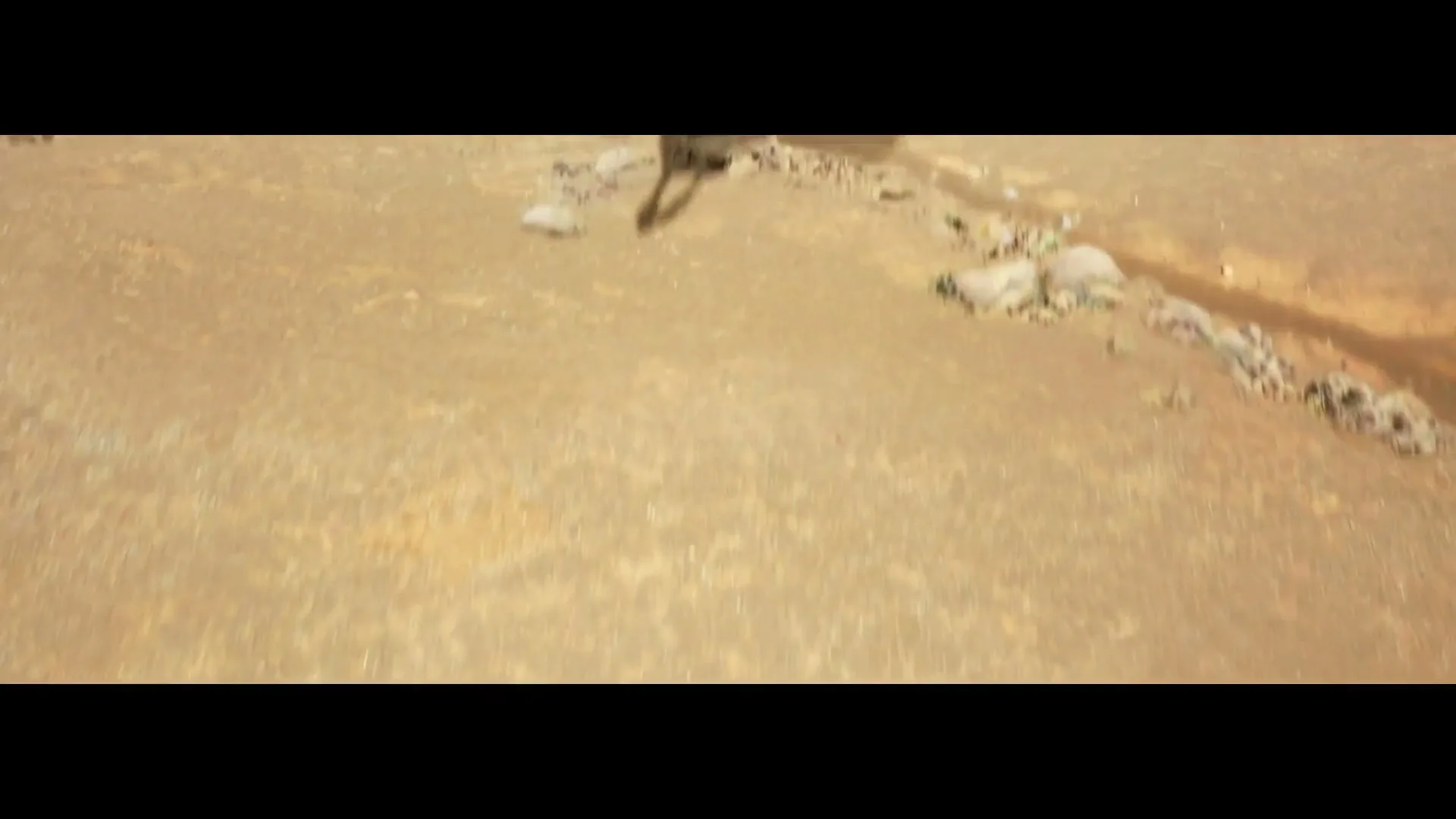 Samsung "Ostrich" (2022) commercial still