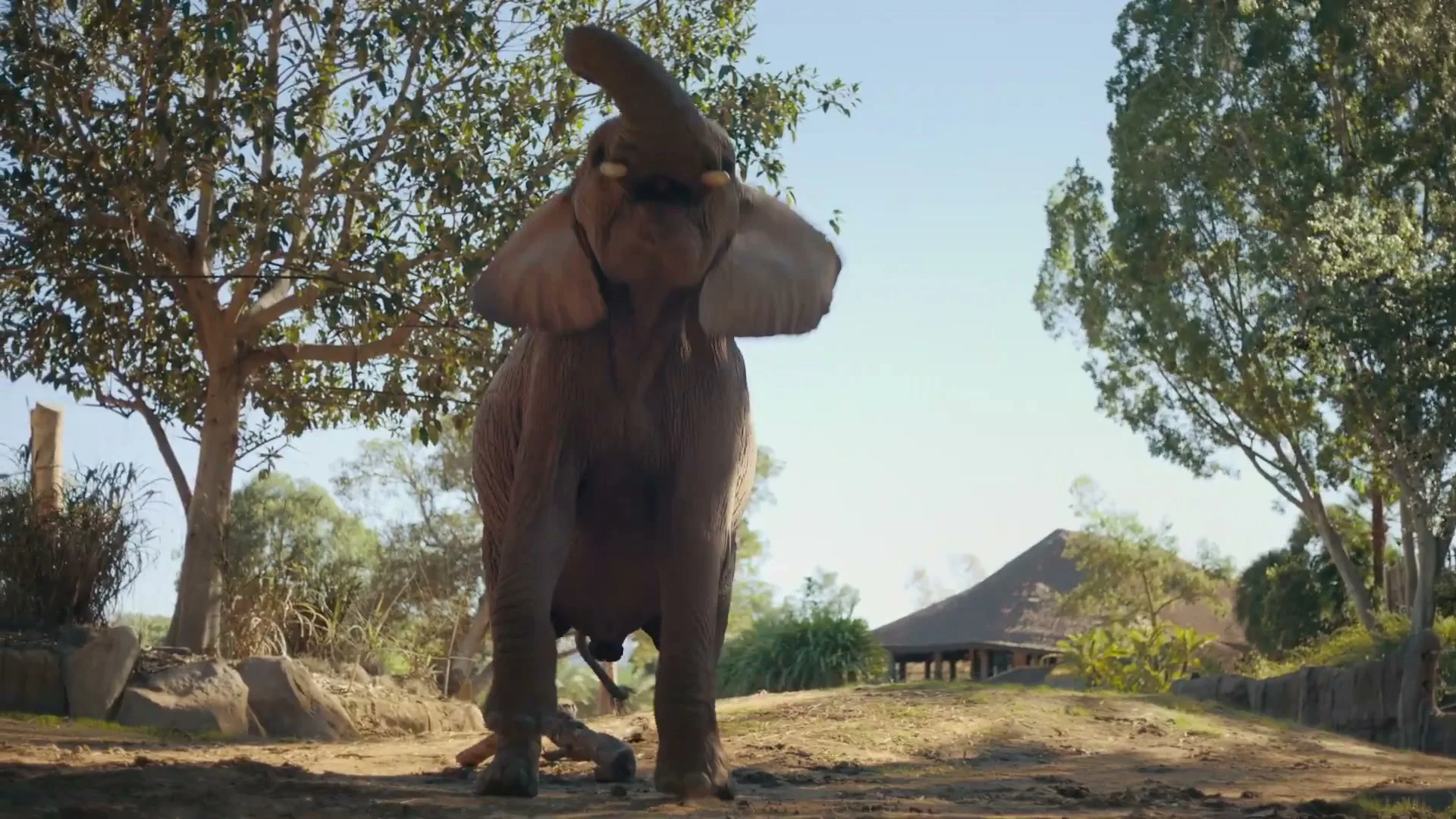 San Francisco Zoo “This is Huge - Elephant Valley Opens March 5th - 30” (2026), frame 5