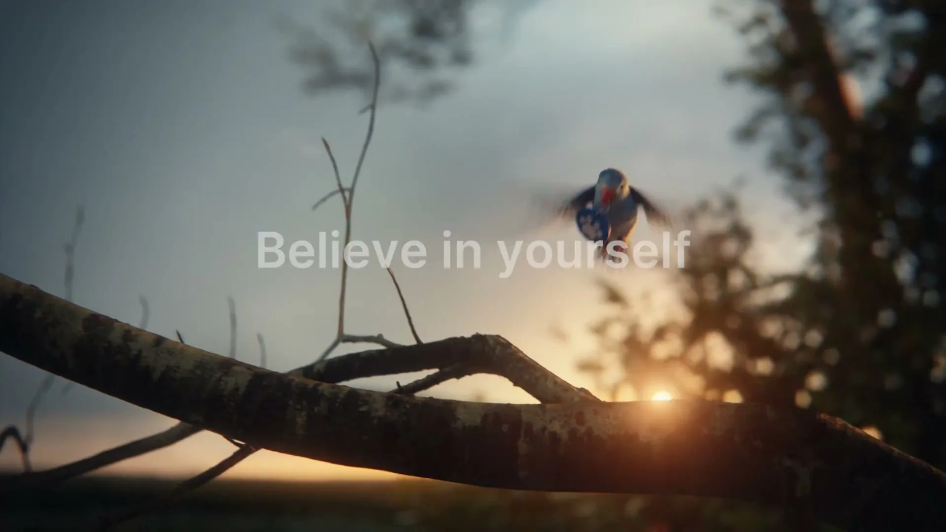 Erste “The Bird” (2026)