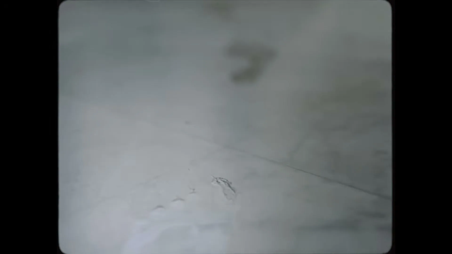 A close-up shot shows a foot stepping into wet sand, leaving a clear imprint on a beach.