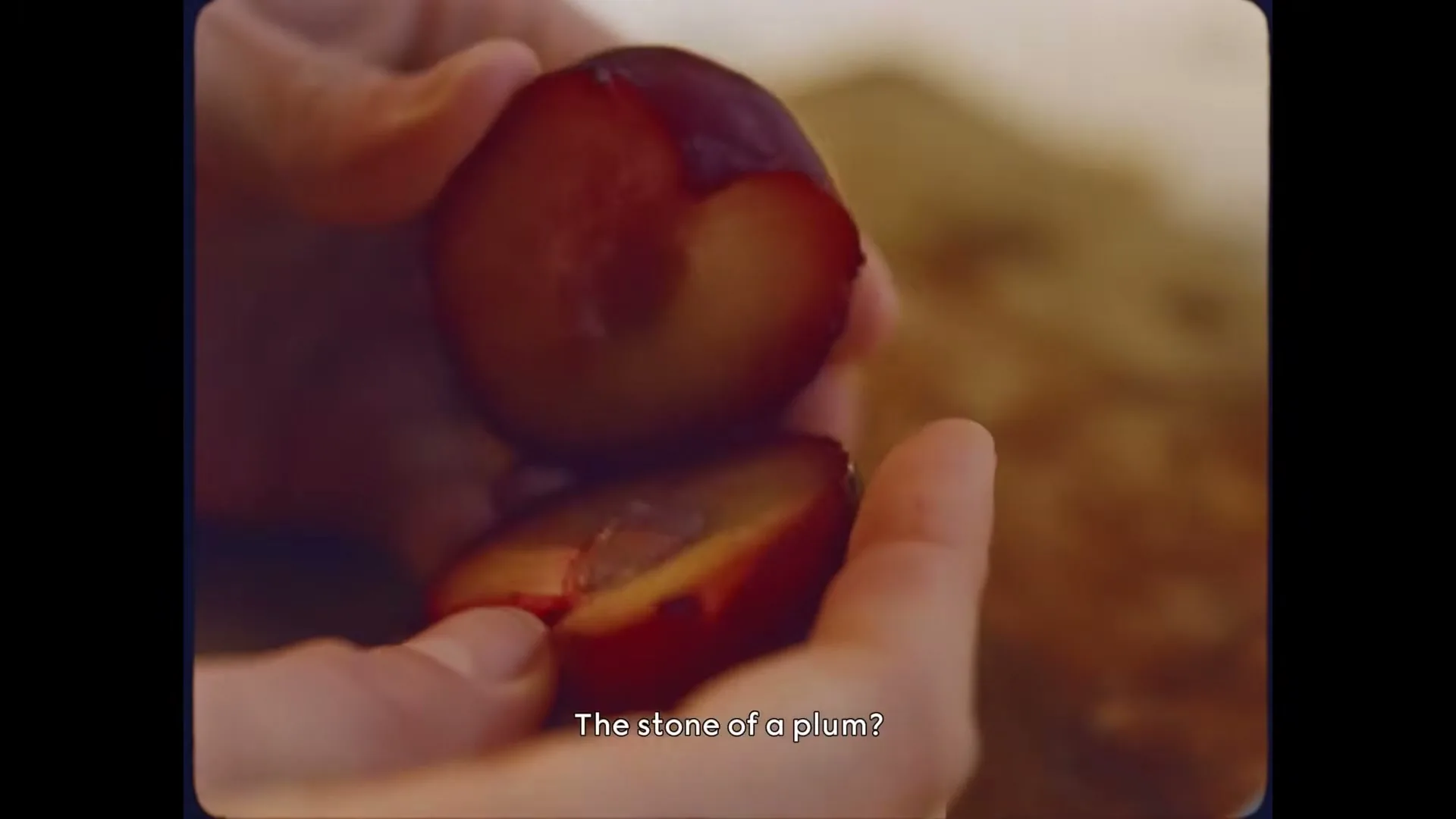 A person's hands gently pull apart a ripe plum, revealing its pit, in a close-up shot with a warm, natural light.