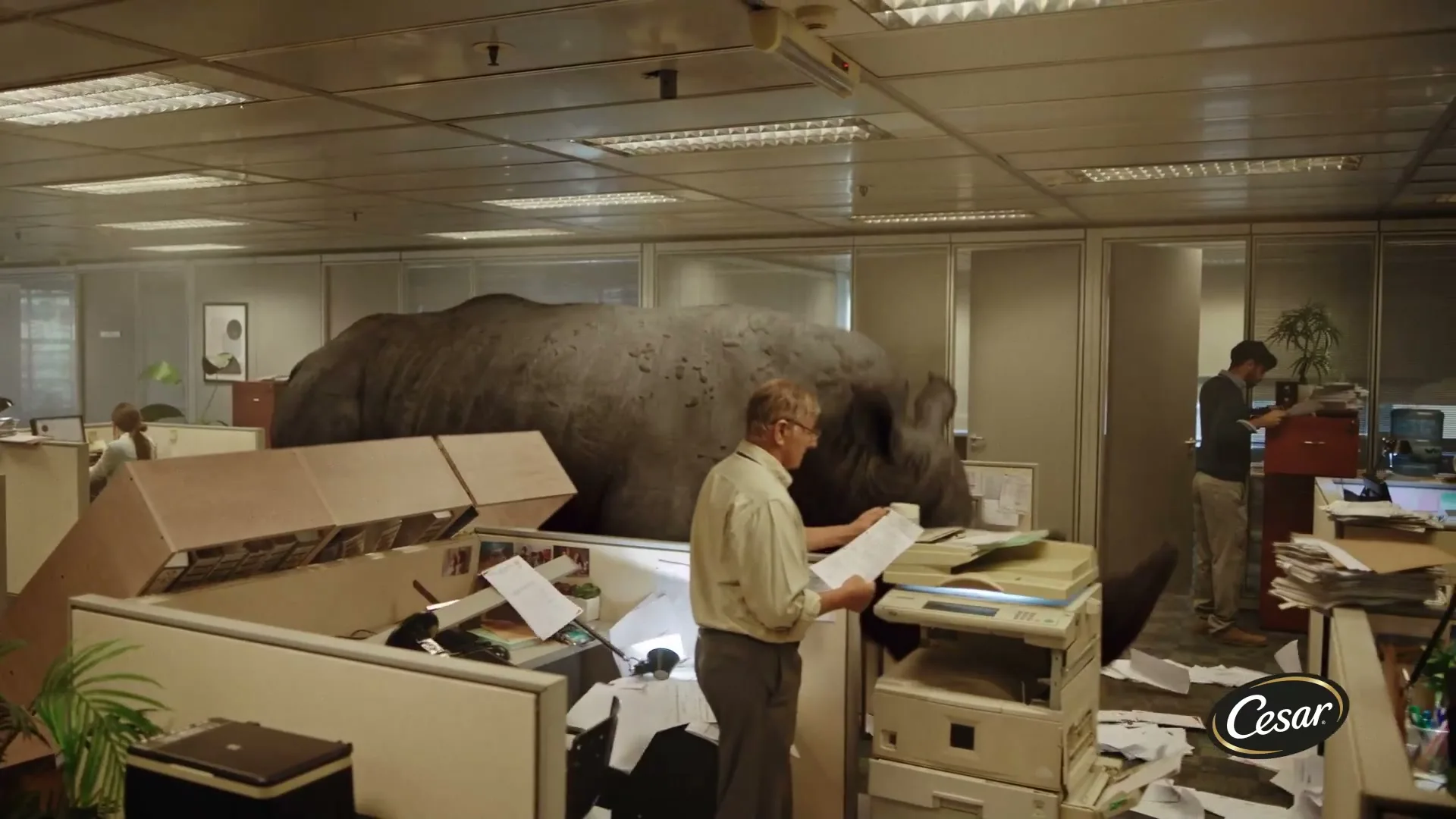 Cesar “Rhino Agency Version” (2025), frame 4
