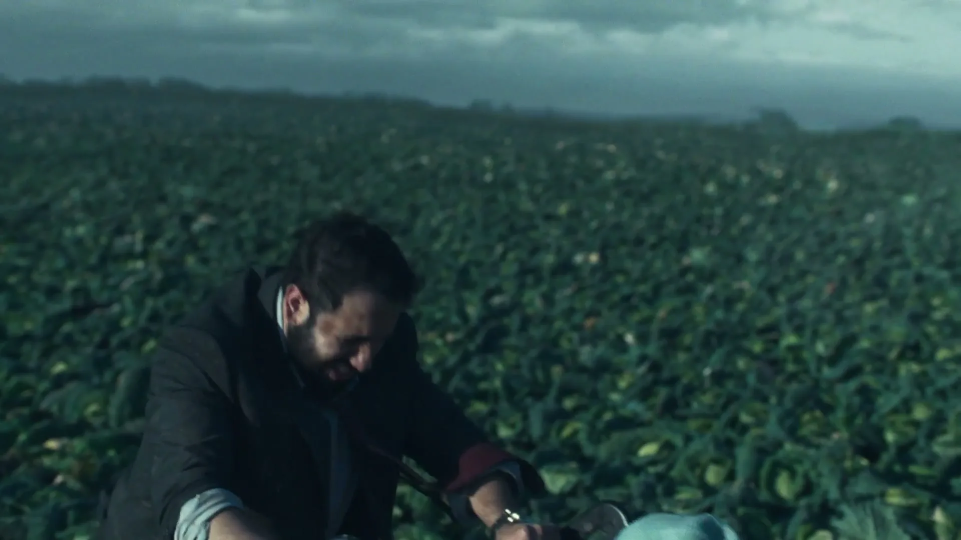 A man with a beard, wearing a suit jacket, pushes a baby stroller through a vast field of green crops under a cloudy sky.