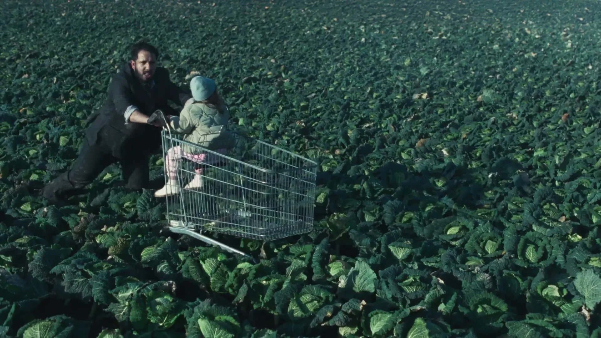 A man in a suit pushes a child in a shopping cart through a vast field of green cabbages under a bright sky.
