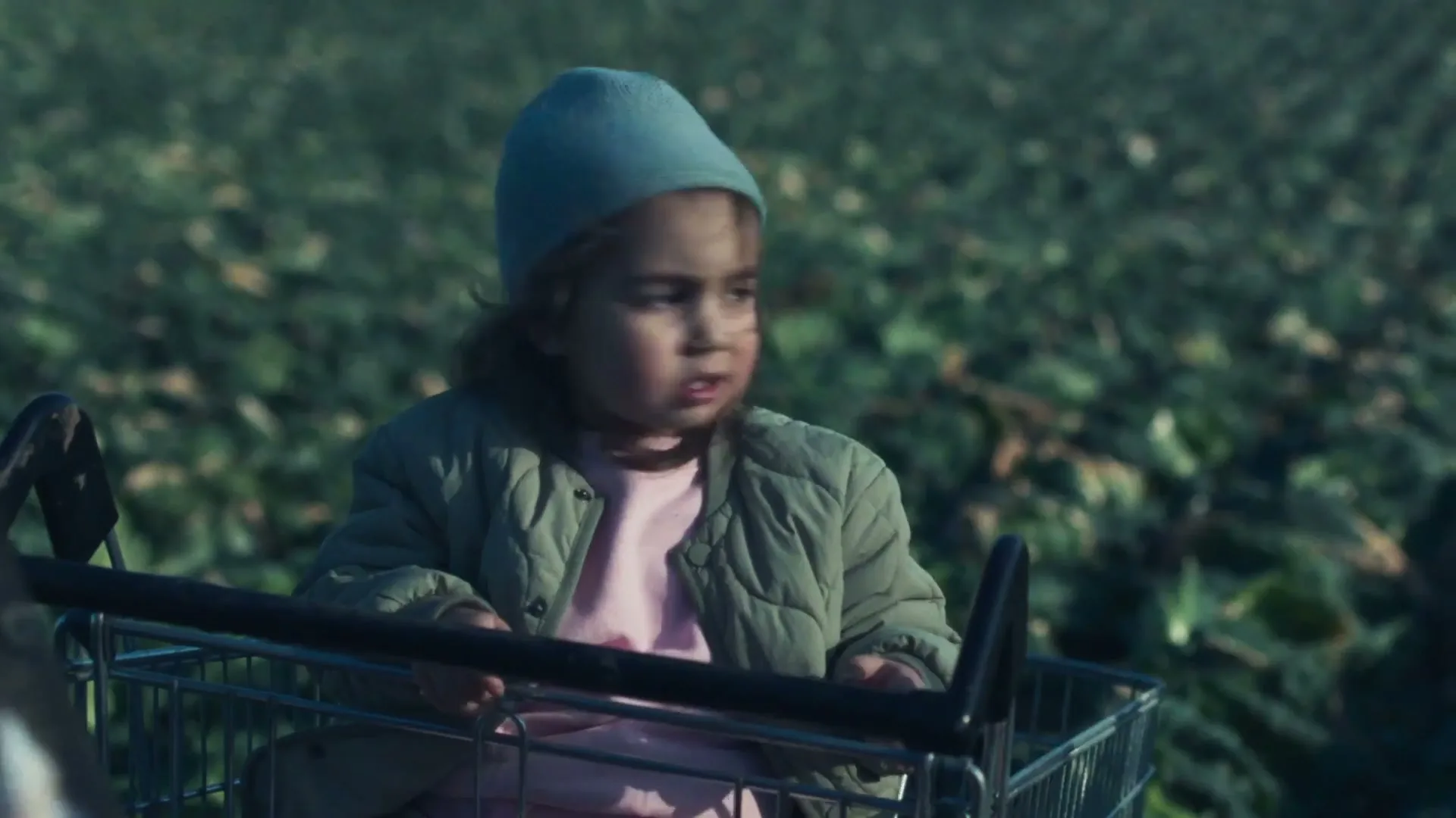 A young child with a blue beanie and green jacket sits in a shopping cart, looking around a field of green plants.