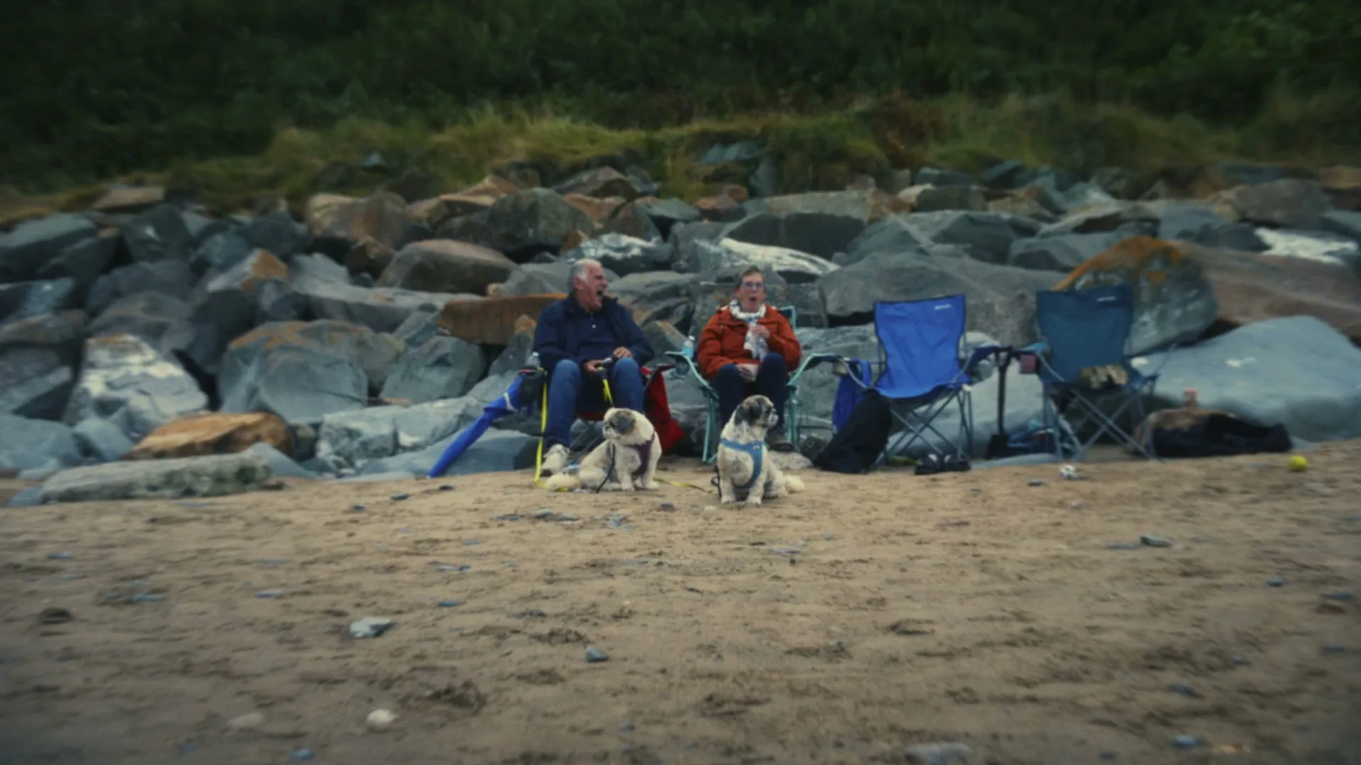 Two older people sit in camping chairs on a sandy beach with two pugs, backed by large rocks and green foliage.
