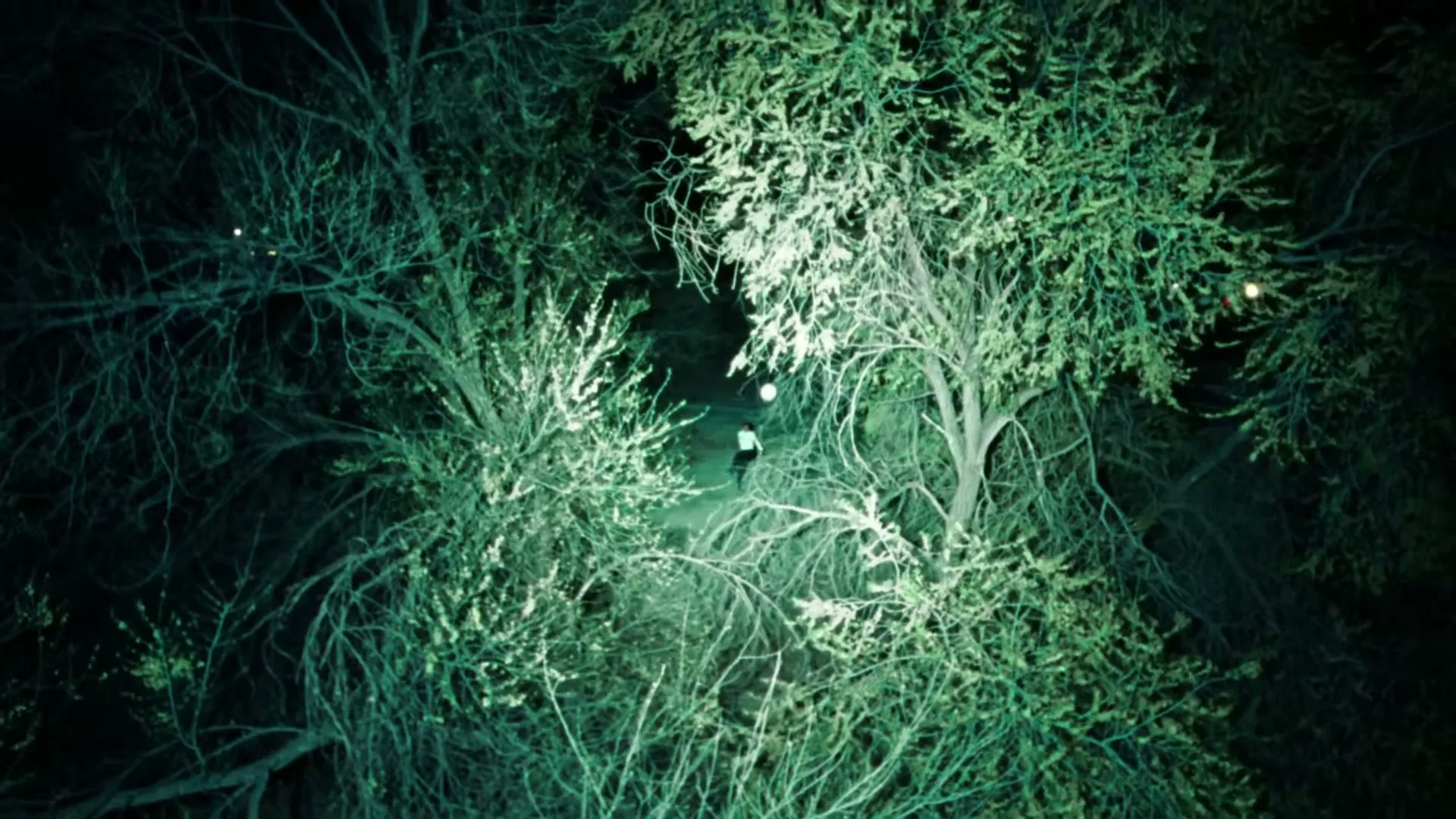 A lone male figure, seen from above, runs through a dark, dense forest at night, illuminated by a bright, greenish light.