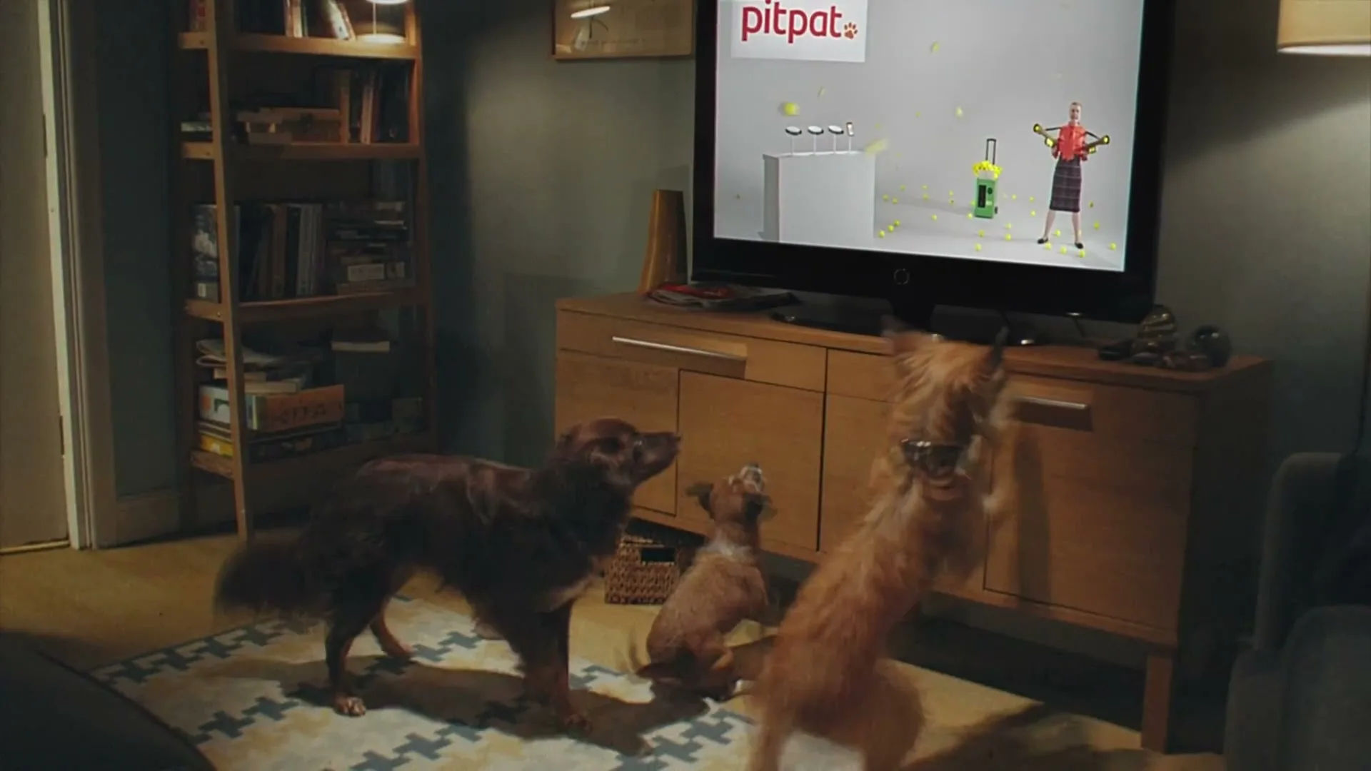 PitPat "Walkies" (2019) commercial still