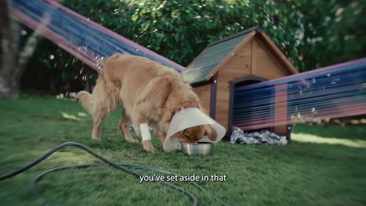 BNZ "Kennel" (2025) commercial still